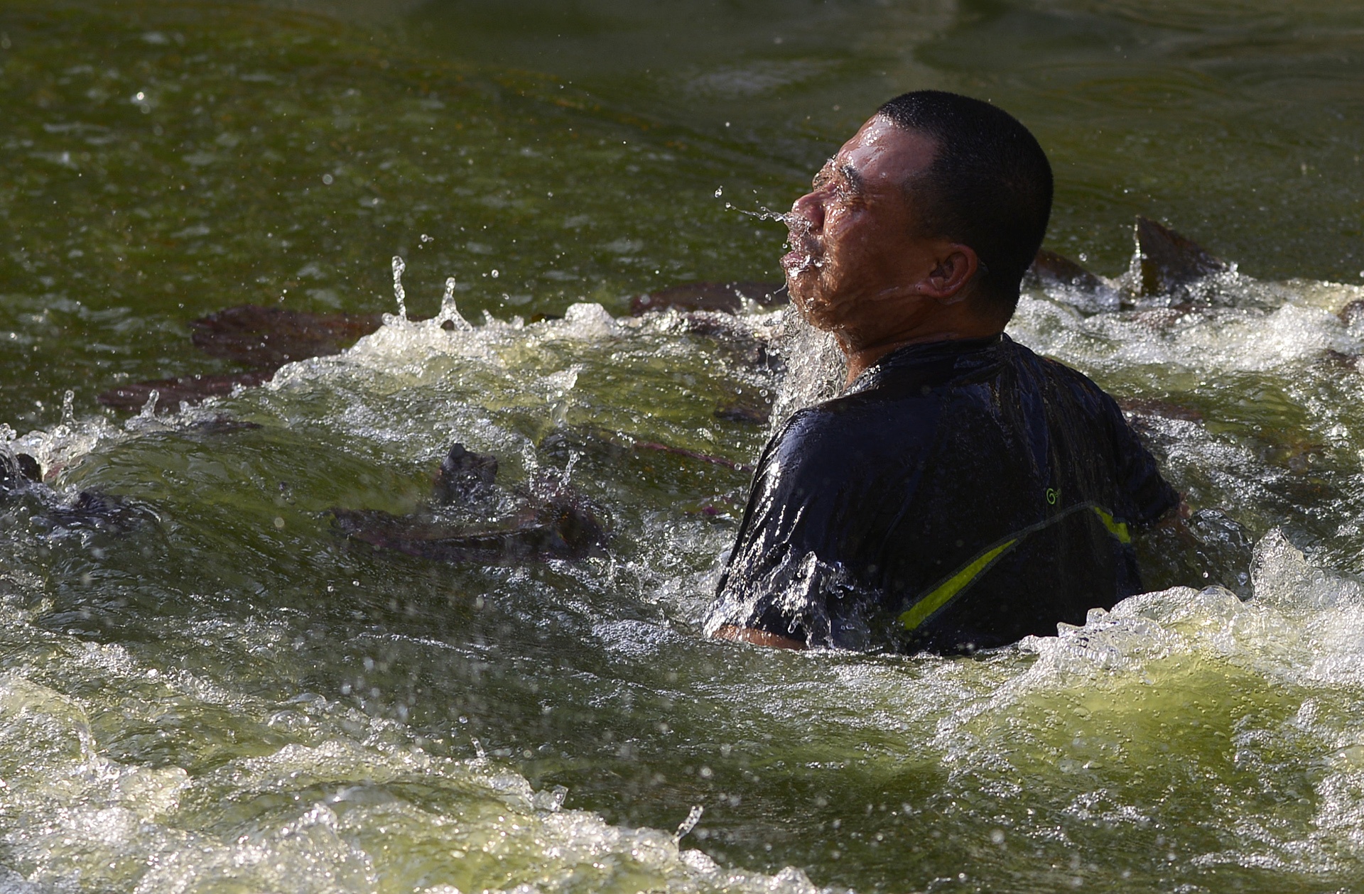 hinh anh hom hinh tai le hoi van phuc anh 5