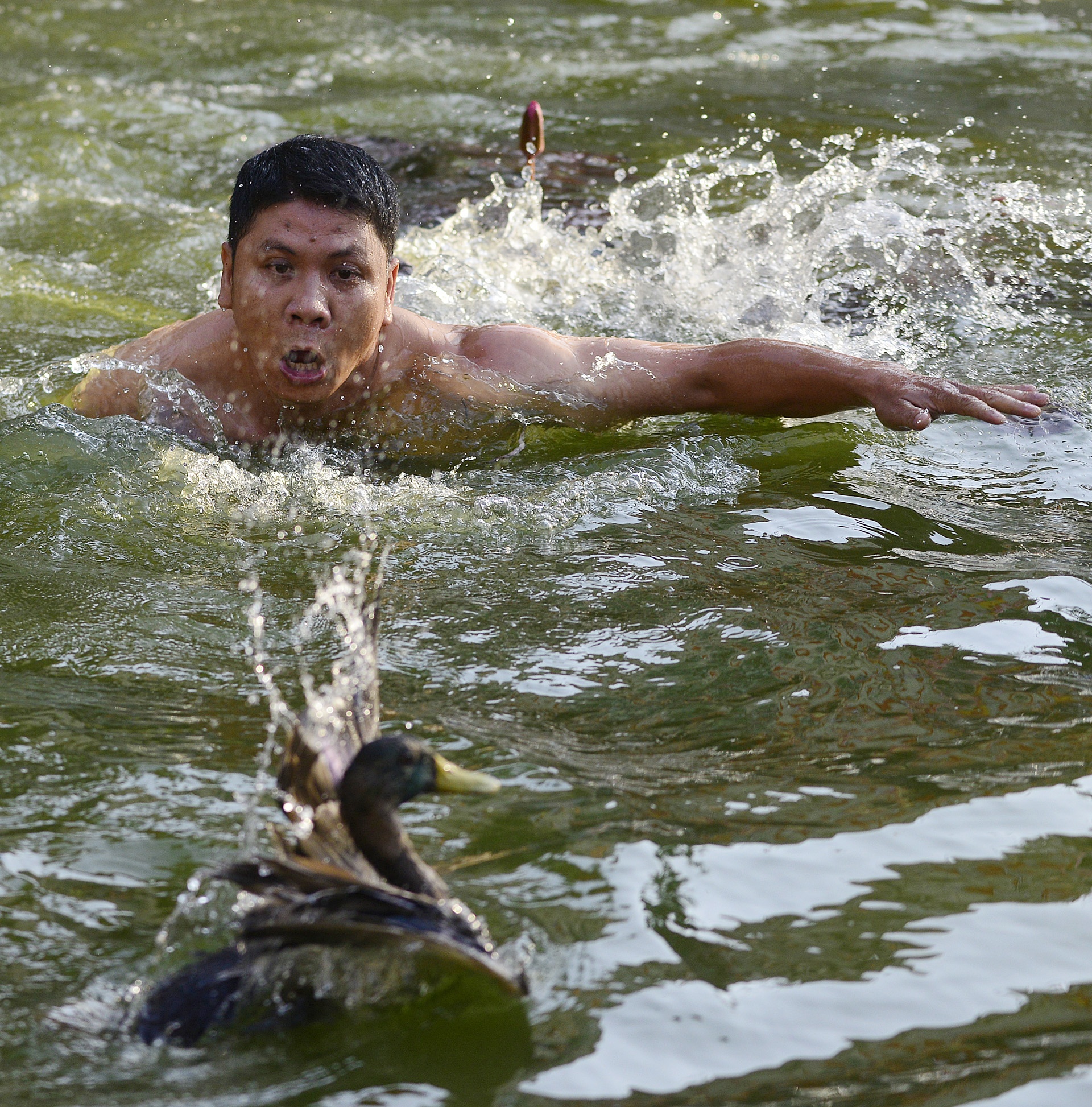 hinh anh hom hinh tai le hoi van phuc anh 6