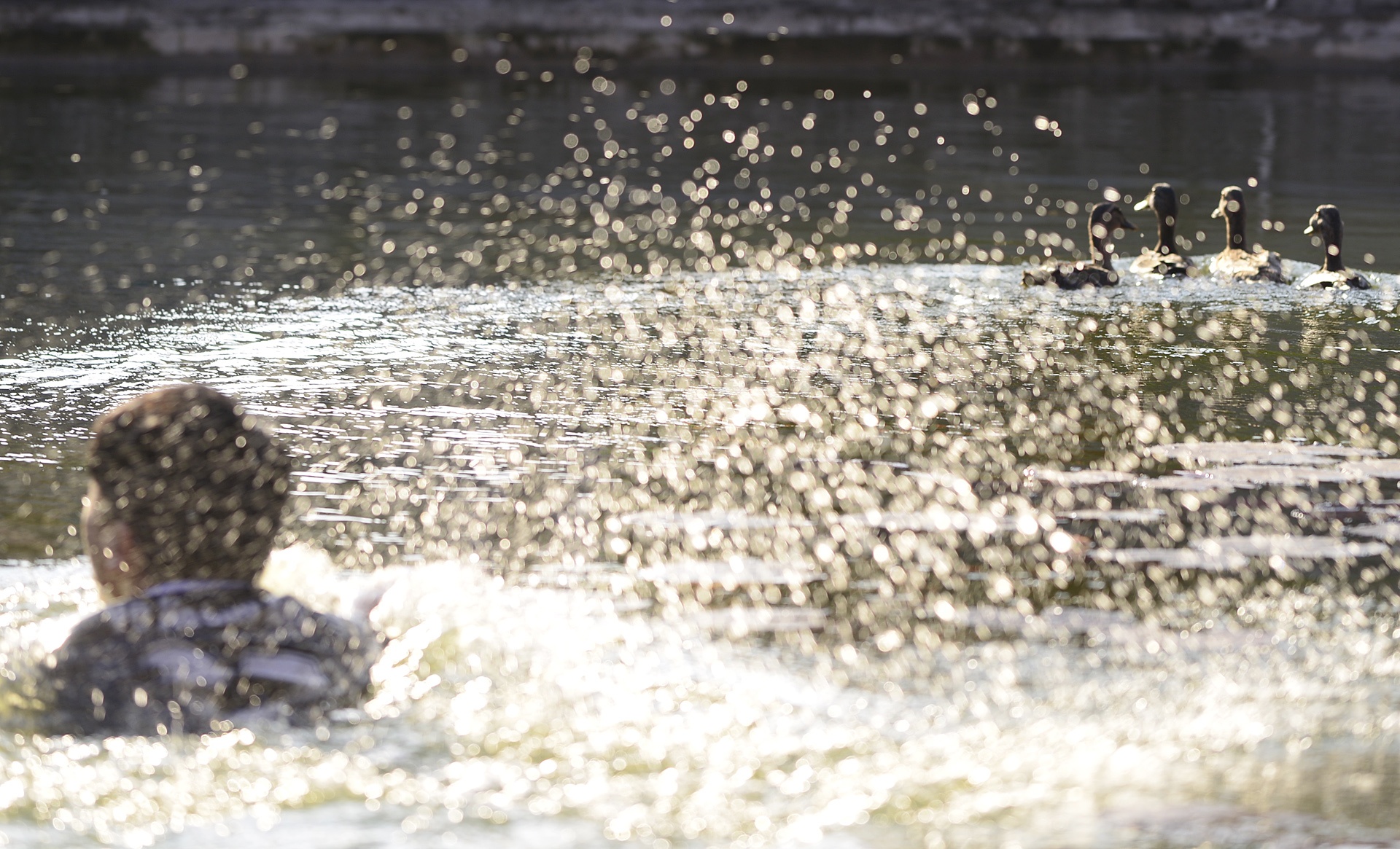 hinh anh hom hinh tai le hoi van phuc anh 7