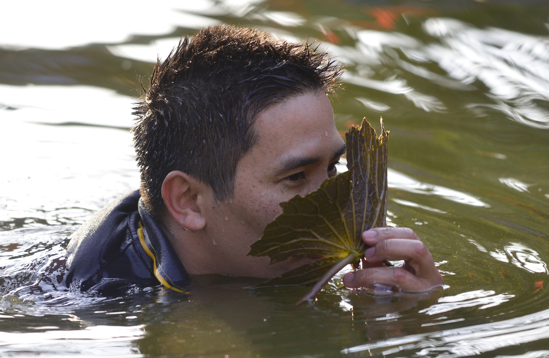 hinh anh hom hinh tai le hoi van phuc anh 8