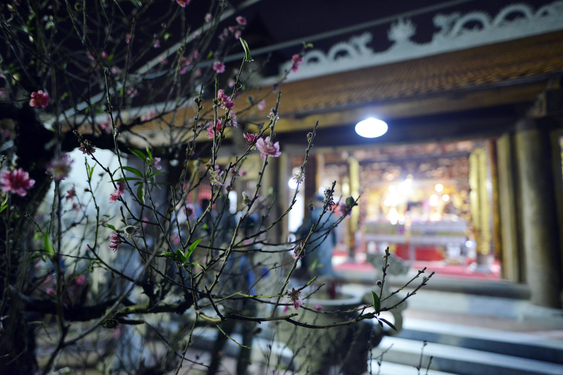 dot 30 kg vang ma lam lua de nguoi dan lay do anh 3