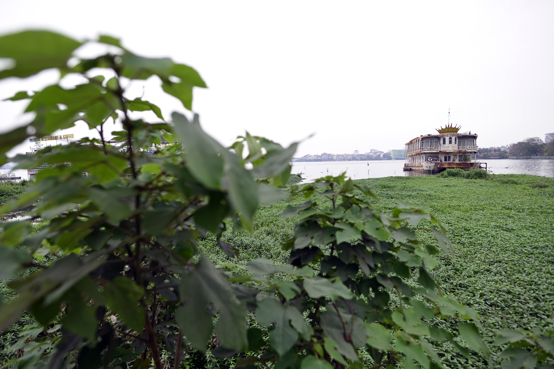Nuoc ho Tay noi vang,  ruoi nhang bay khap noi anh 10