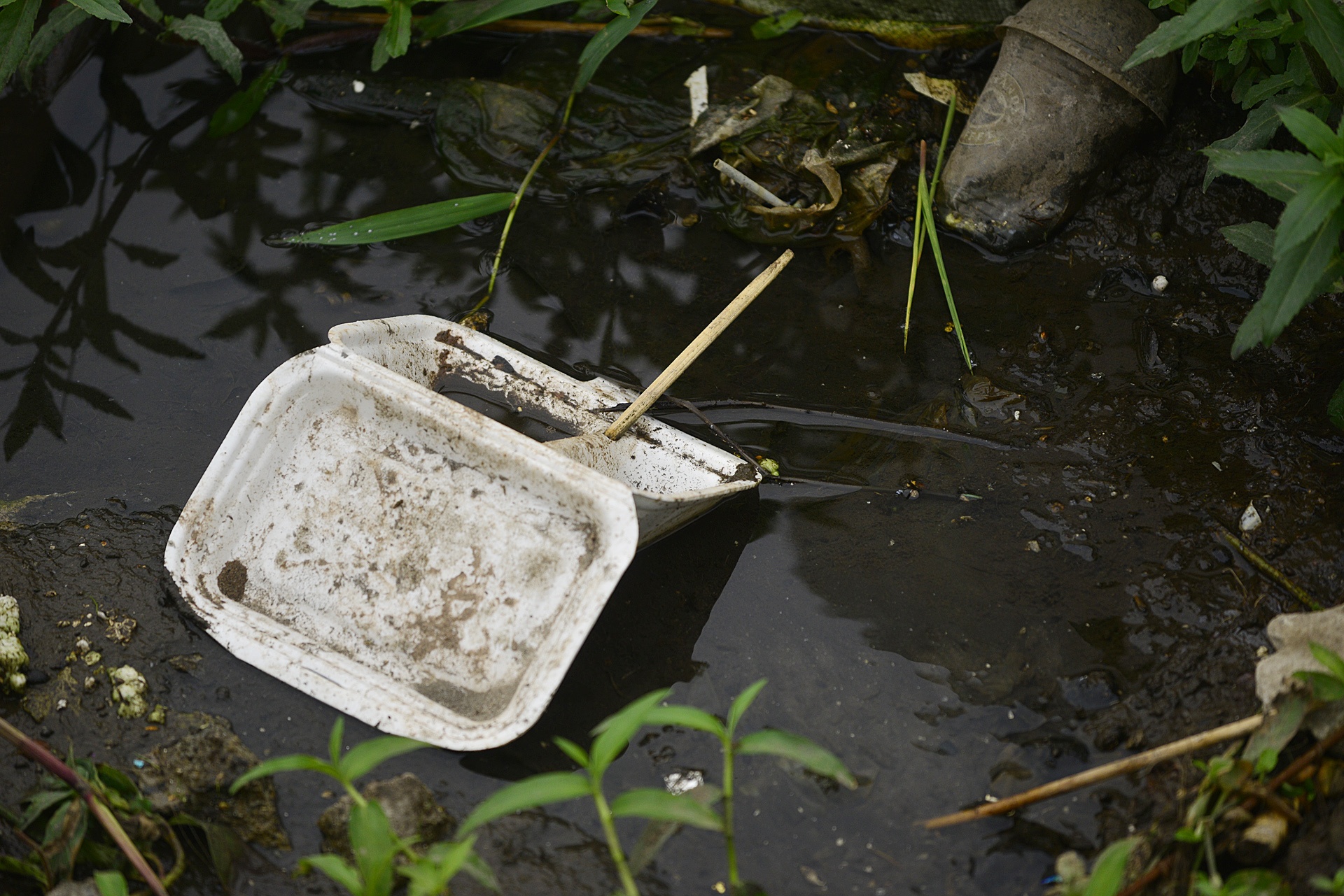 Nuoc ho Tay noi vang,  ruoi nhang bay khap noi anh 11