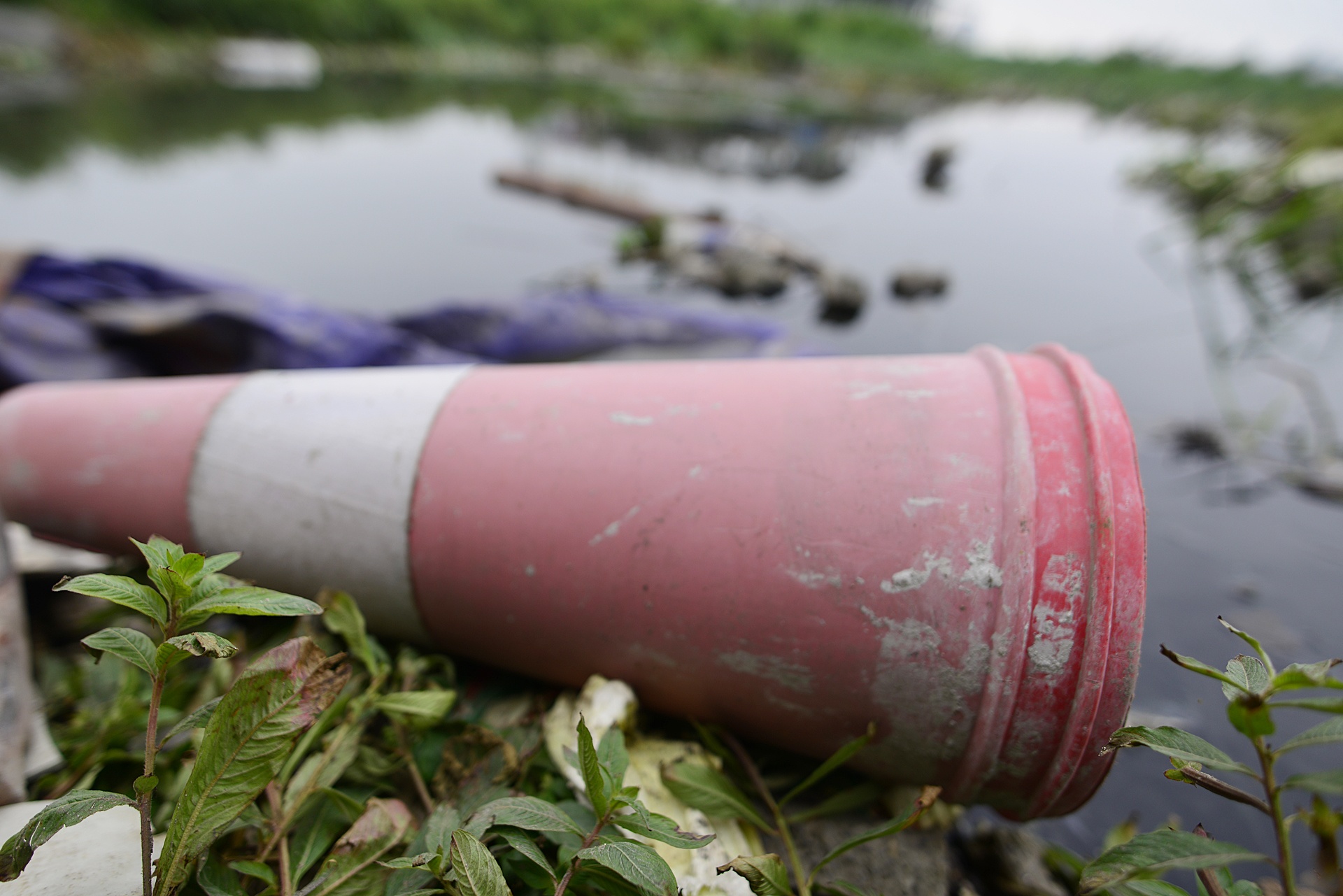 Nuoc ho Tay noi vang,  ruoi nhang bay khap noi anh 14