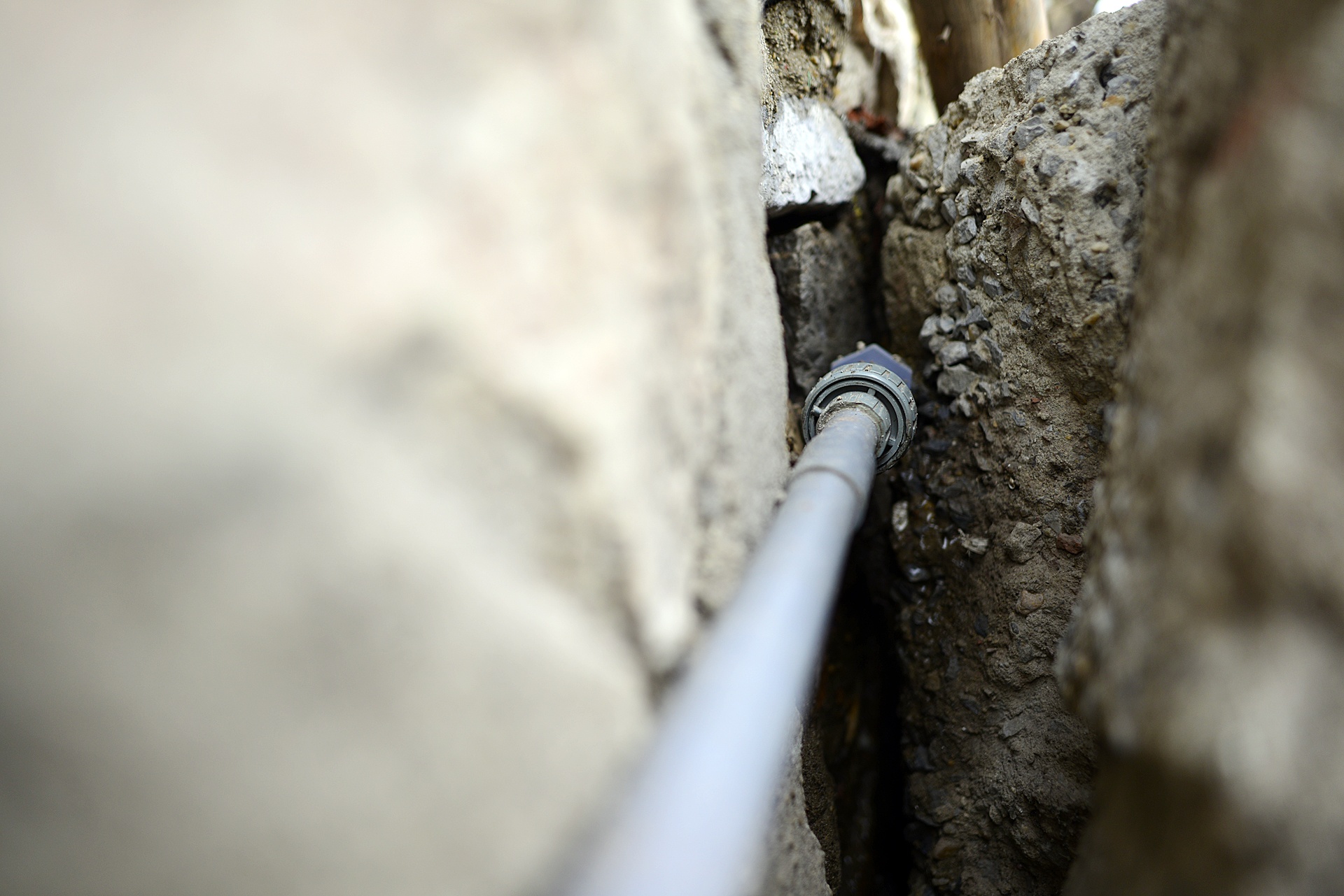 Nuoc ho Tay noi vang,  ruoi nhang bay khap noi anh 6