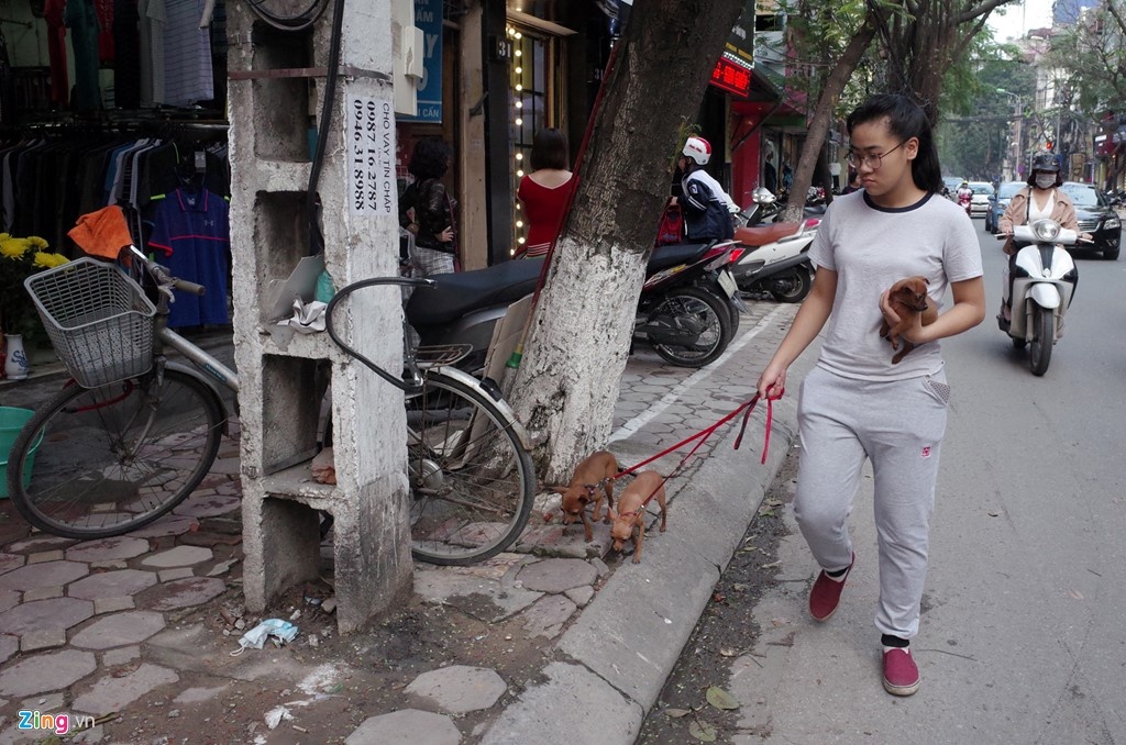 Gianh lai via he cho nguoi di bo tren pho Doi Can anh 2