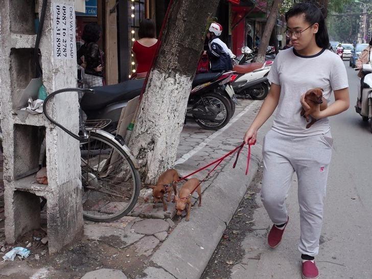 Xoa bo vach son chia via he bang gang tay cho nguoi di bo hinh anh
