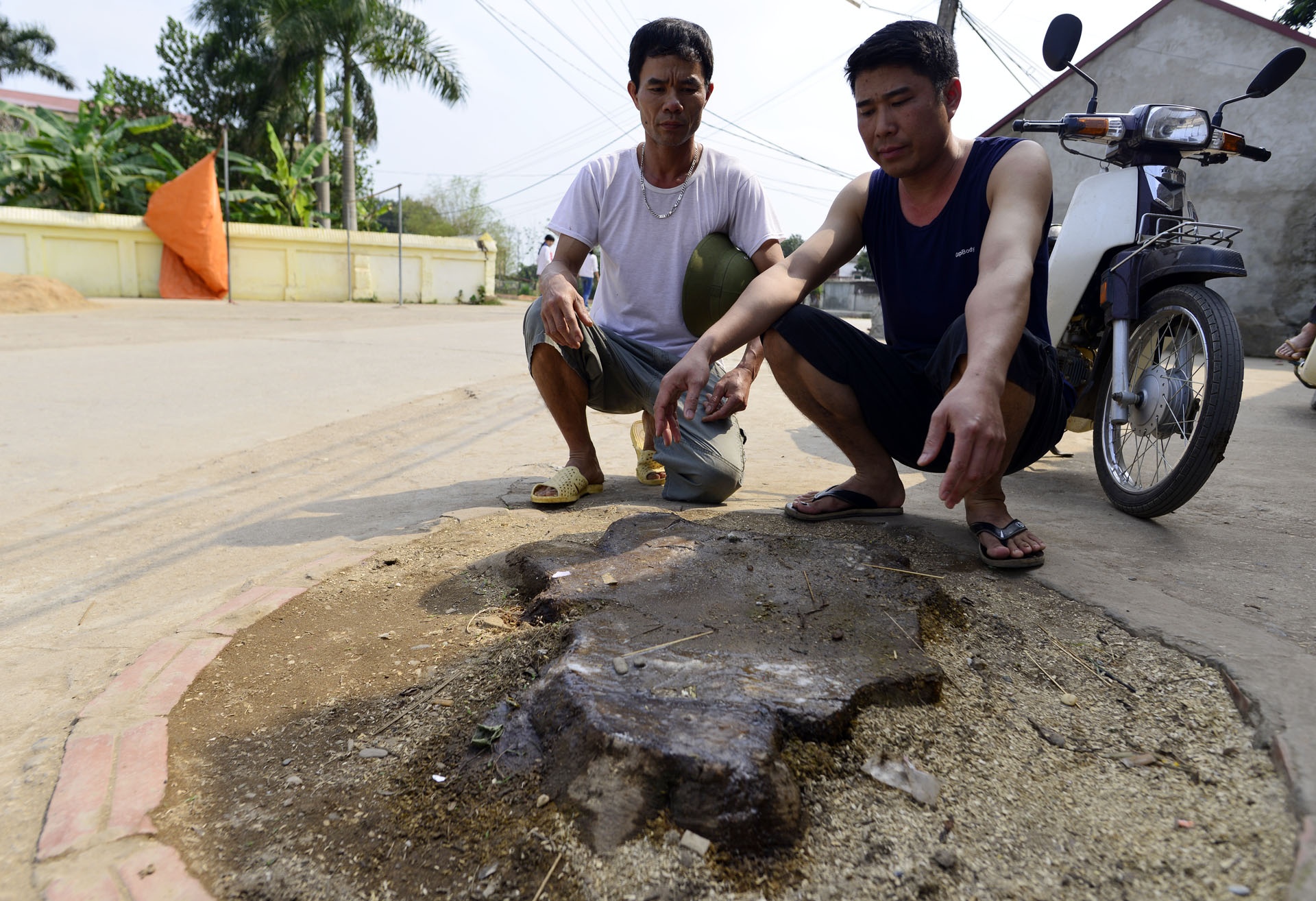 Chat cay xanh de lay loi di bo anh 10