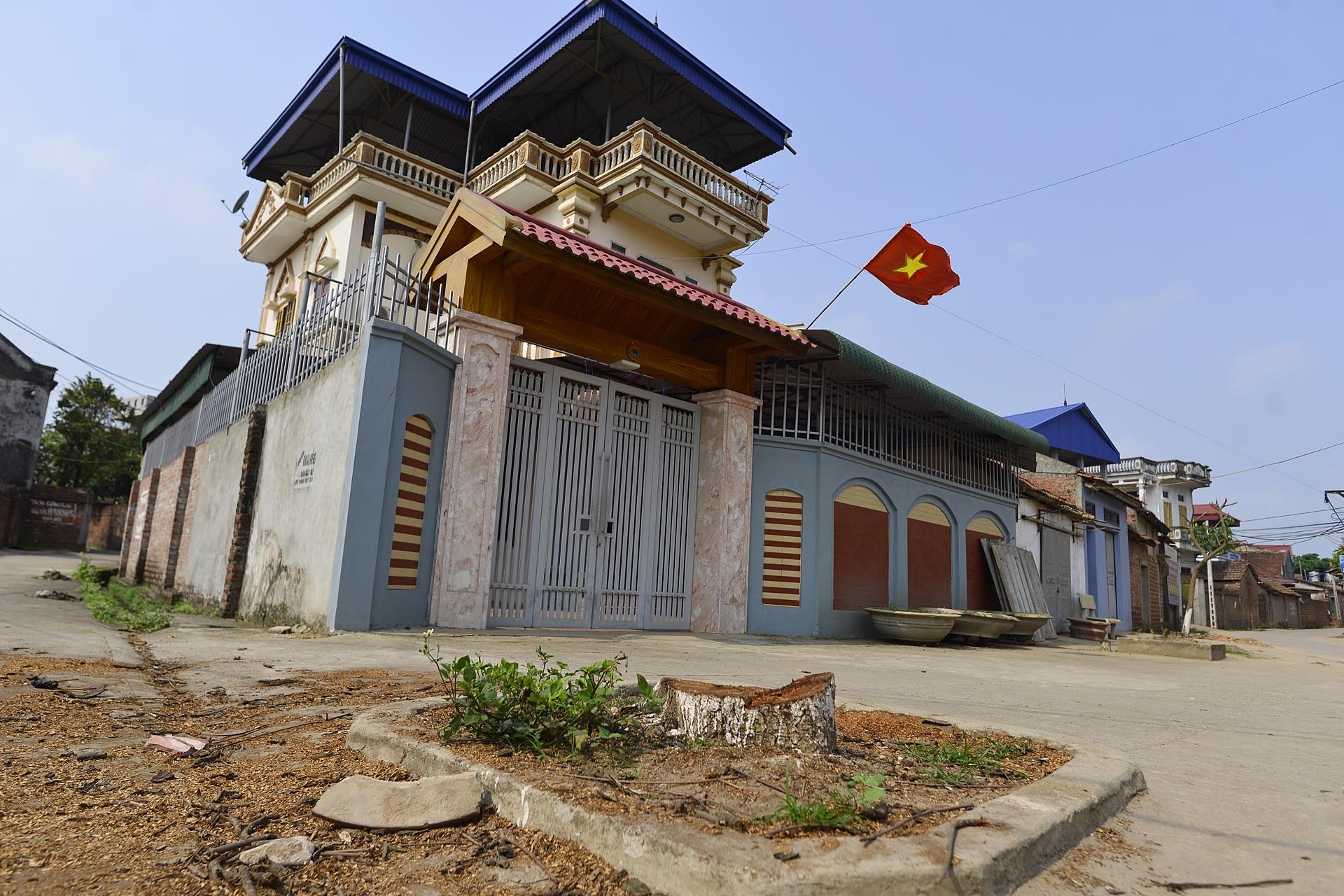 Chat cay xanh de lay loi di bo anh 1