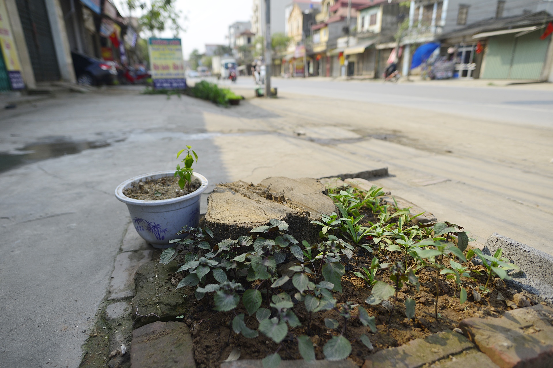 Chat xay xanh o Hoai Duc de don dep via he anh 1