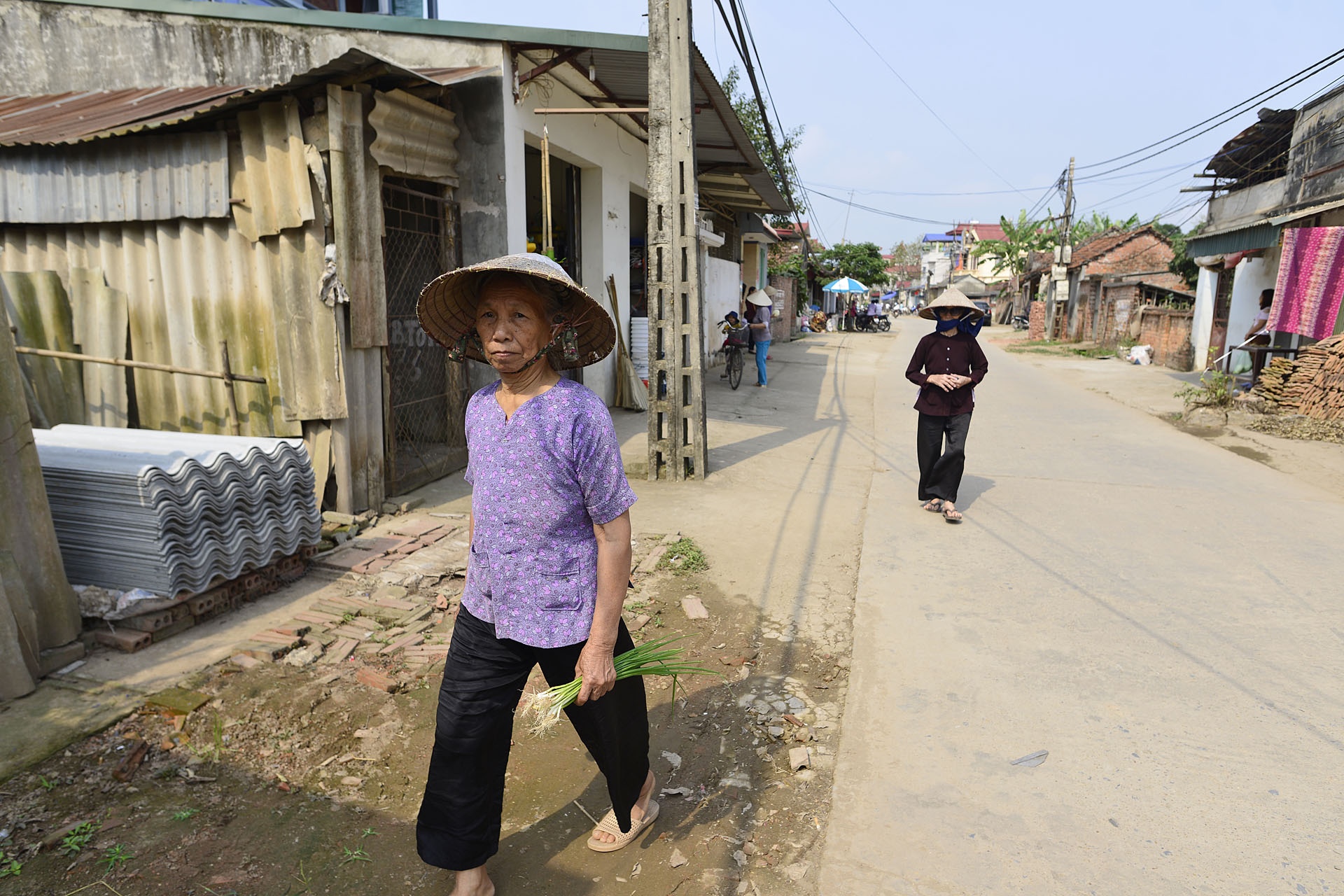 Chat cay xanh de lay loi di bo anh 2
