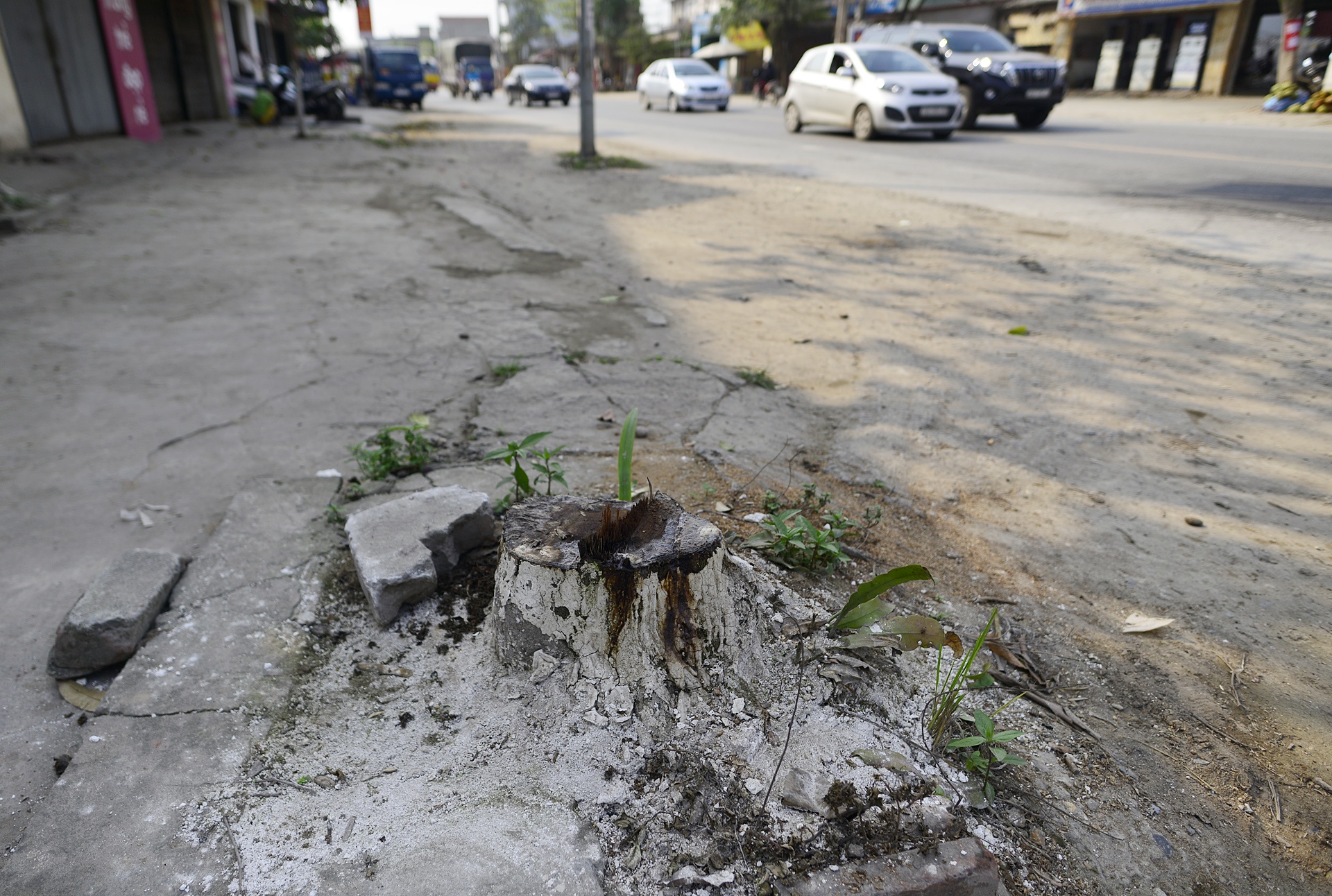 Chat xay xanh o Hoai Duc de don dep via he anh 4