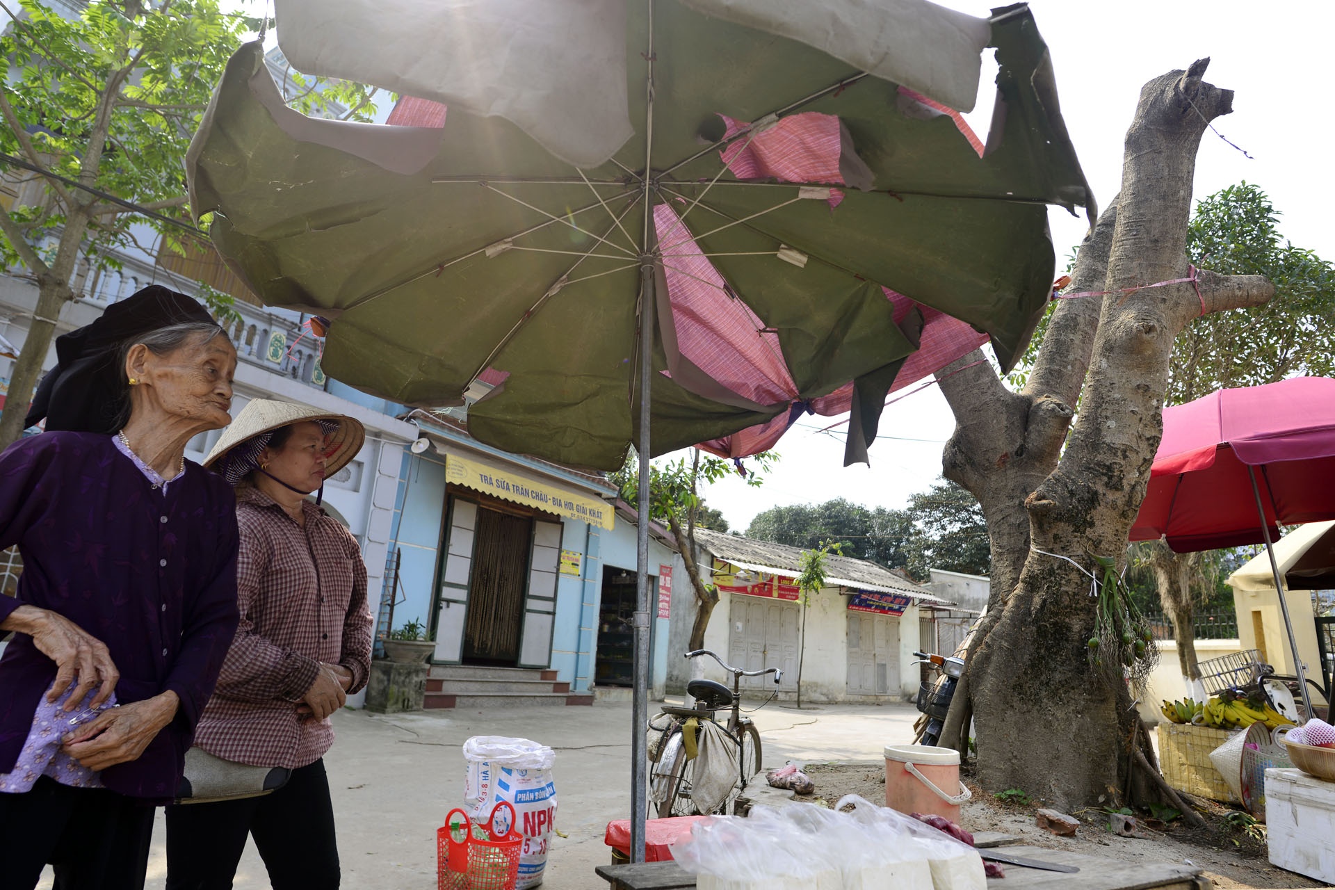 Chat cay xanh de lay loi di bo anh 5