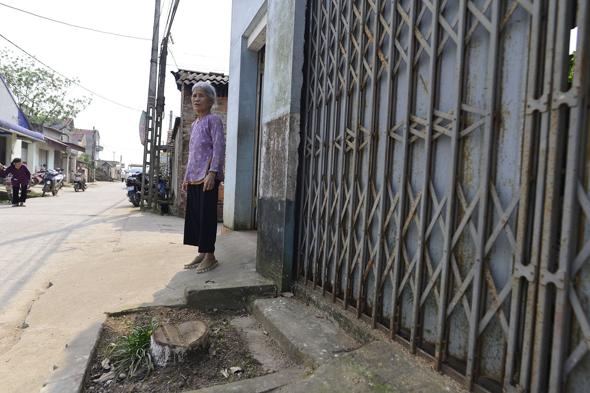 Chat cay xanh de lay loi di bo anh 7