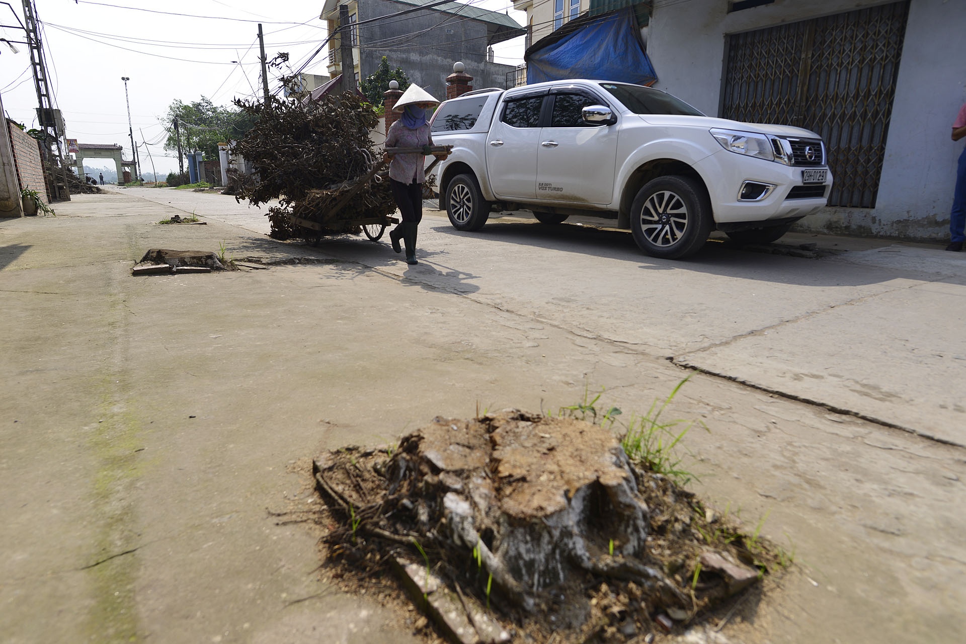 Chat cay xanh de lay loi di bo anh 8