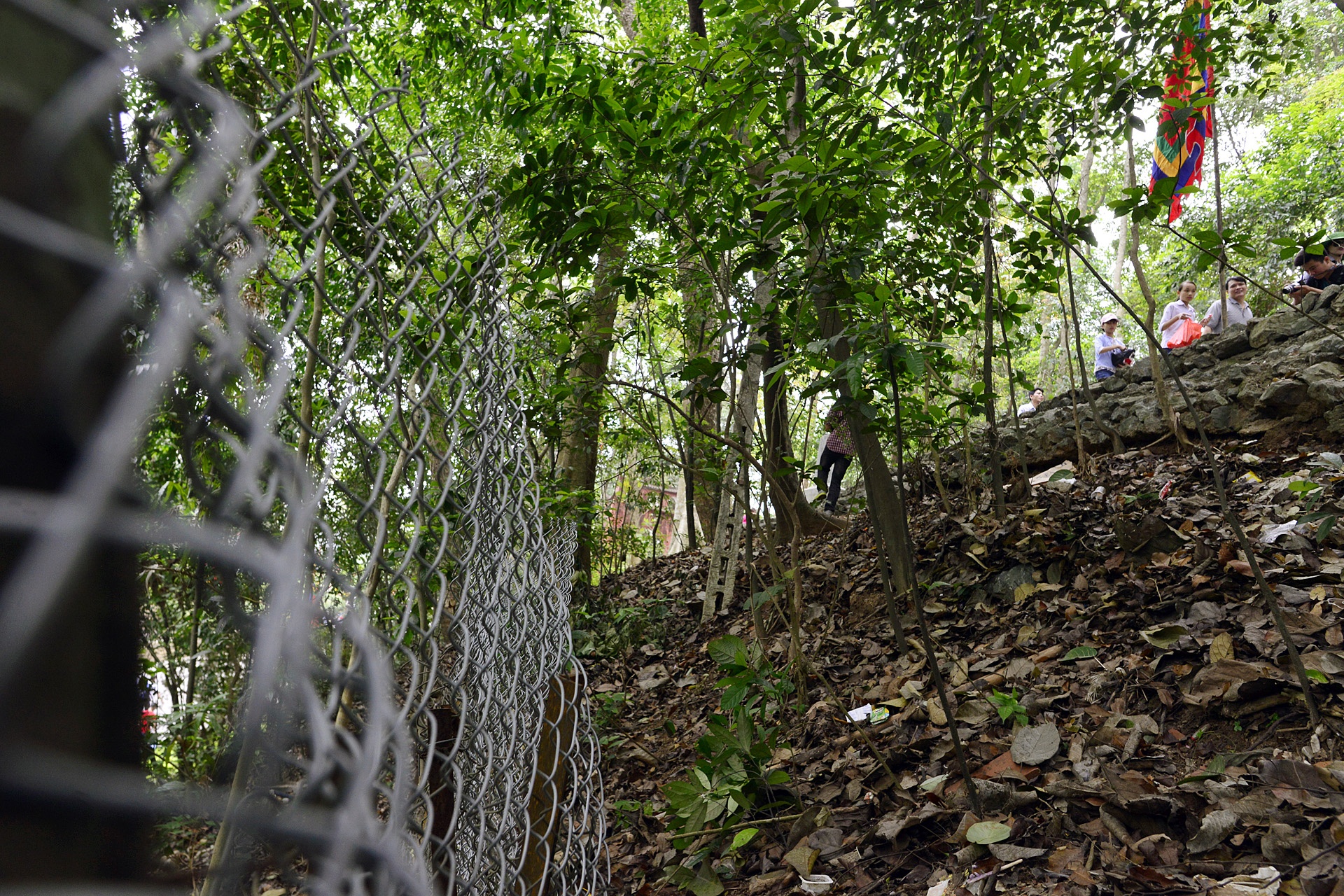 Cang day thung dam bao an toan cho du khach anh 2