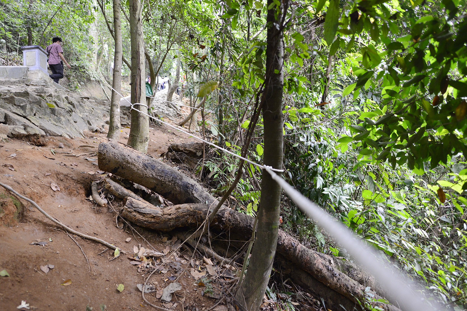 Cang day thung dam bao an toan cho du khach anh 5