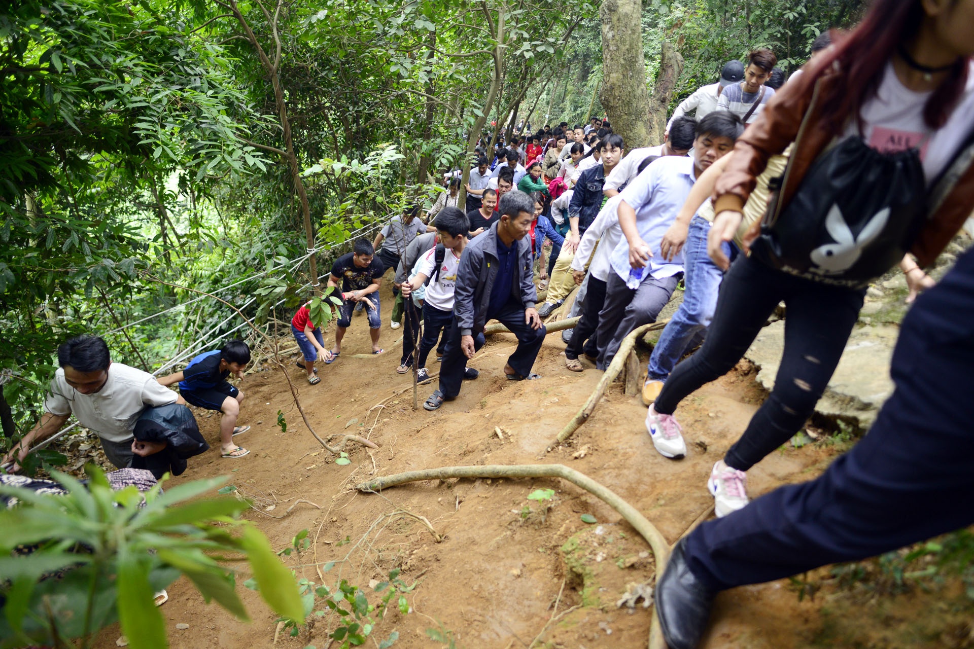 Le hoi den Hung anh 11