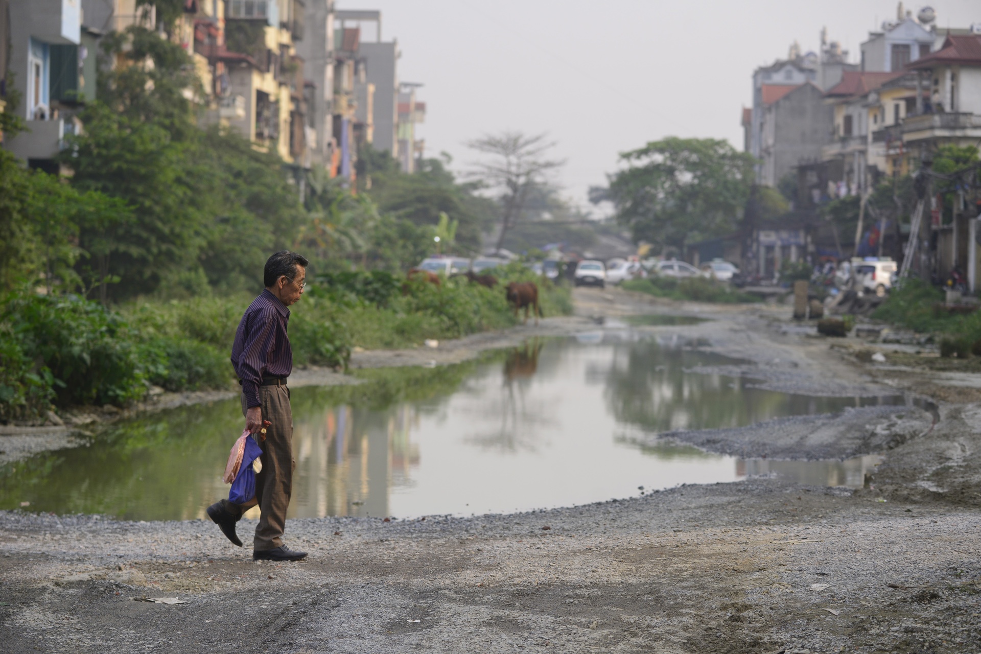 con duong cham tien do,  gay o nhiem moi truong anh 10