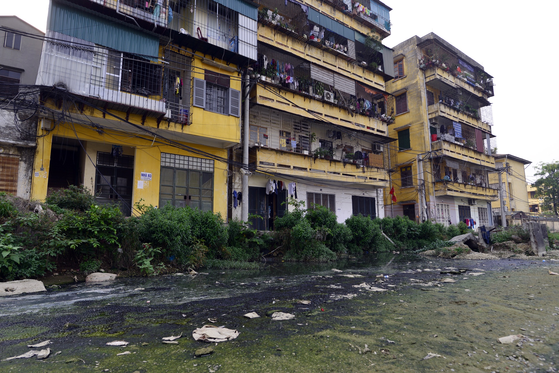 con duong cham tien do,  gay o nhiem moi truong anh 2