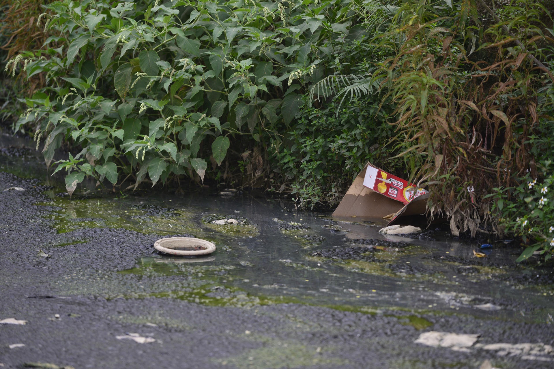 con duong cham tien do,  gay o nhiem moi truong anh 4