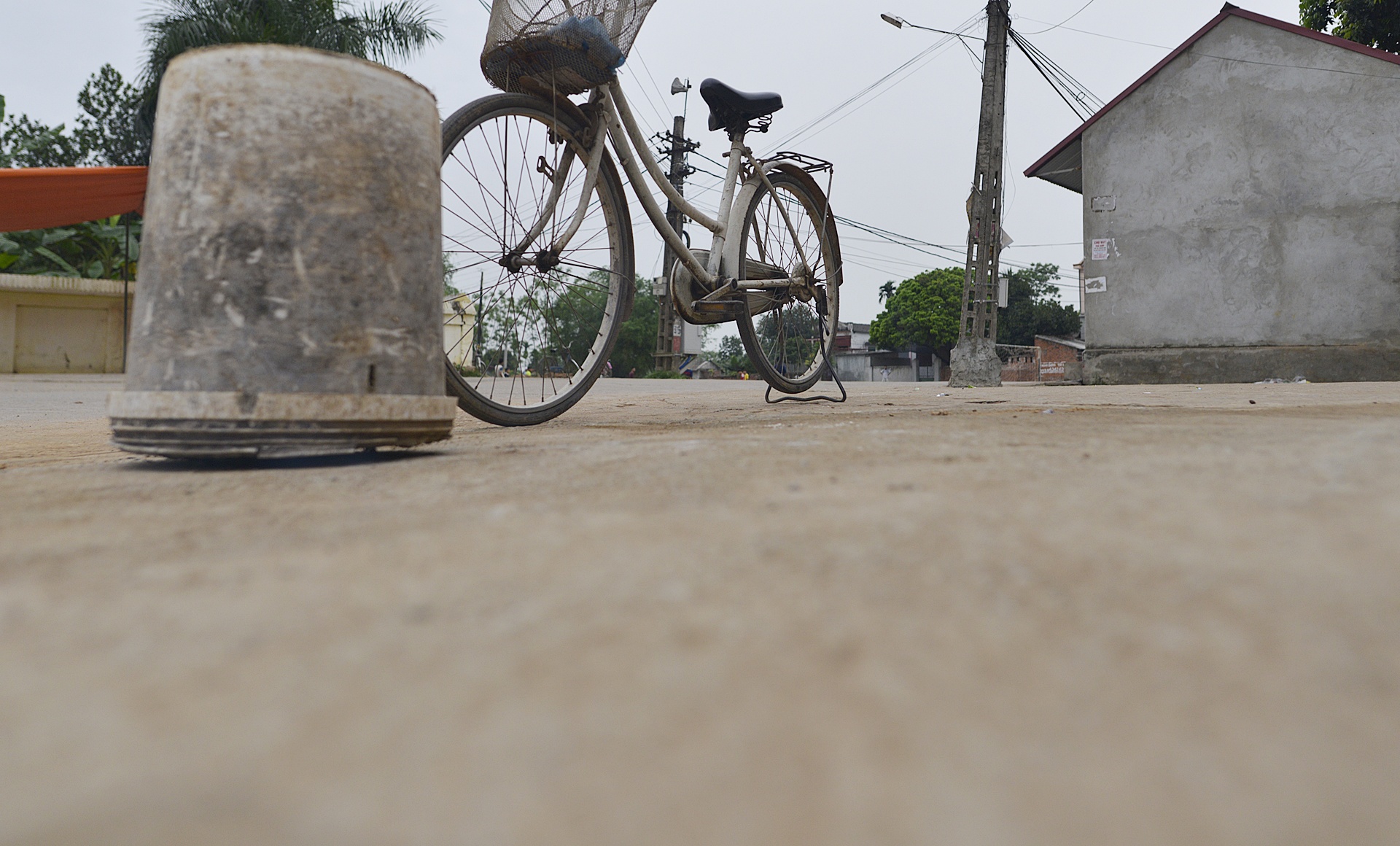 Trong lai cay xanh sau vu chat cay don via he anh 10