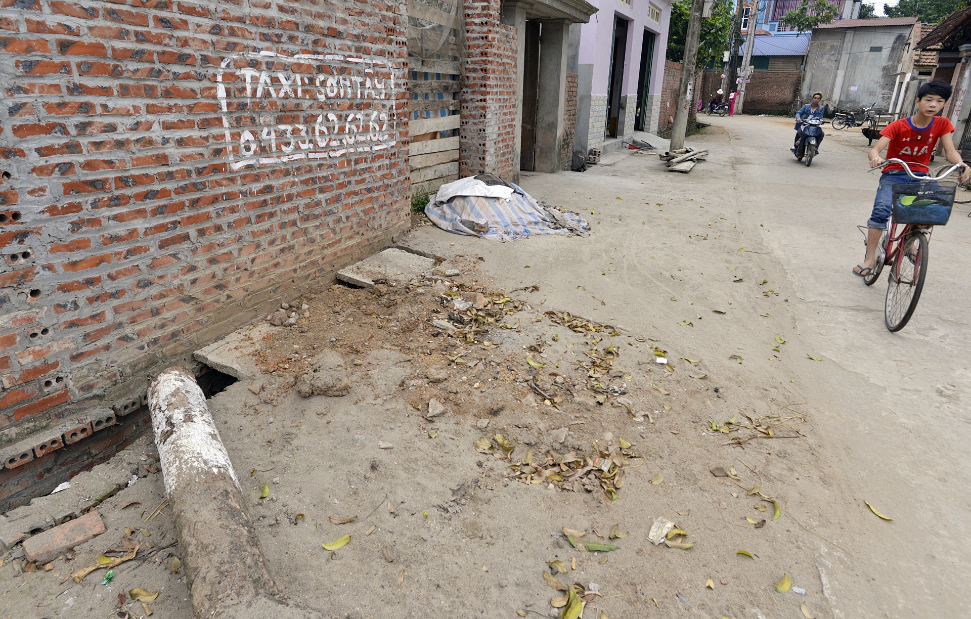 Trong lai cay xanh sau vu chat cay don via he anh 14