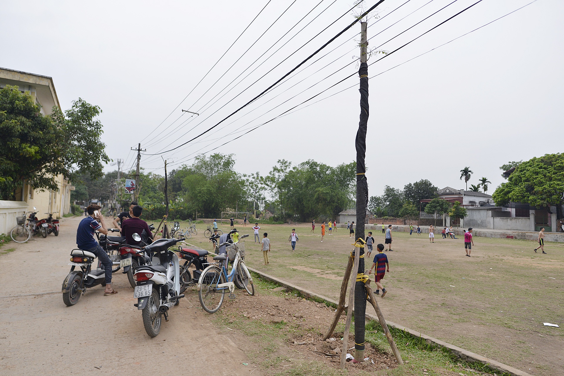 Trong lai cay xanh sau vu chat cay don via he anh 15