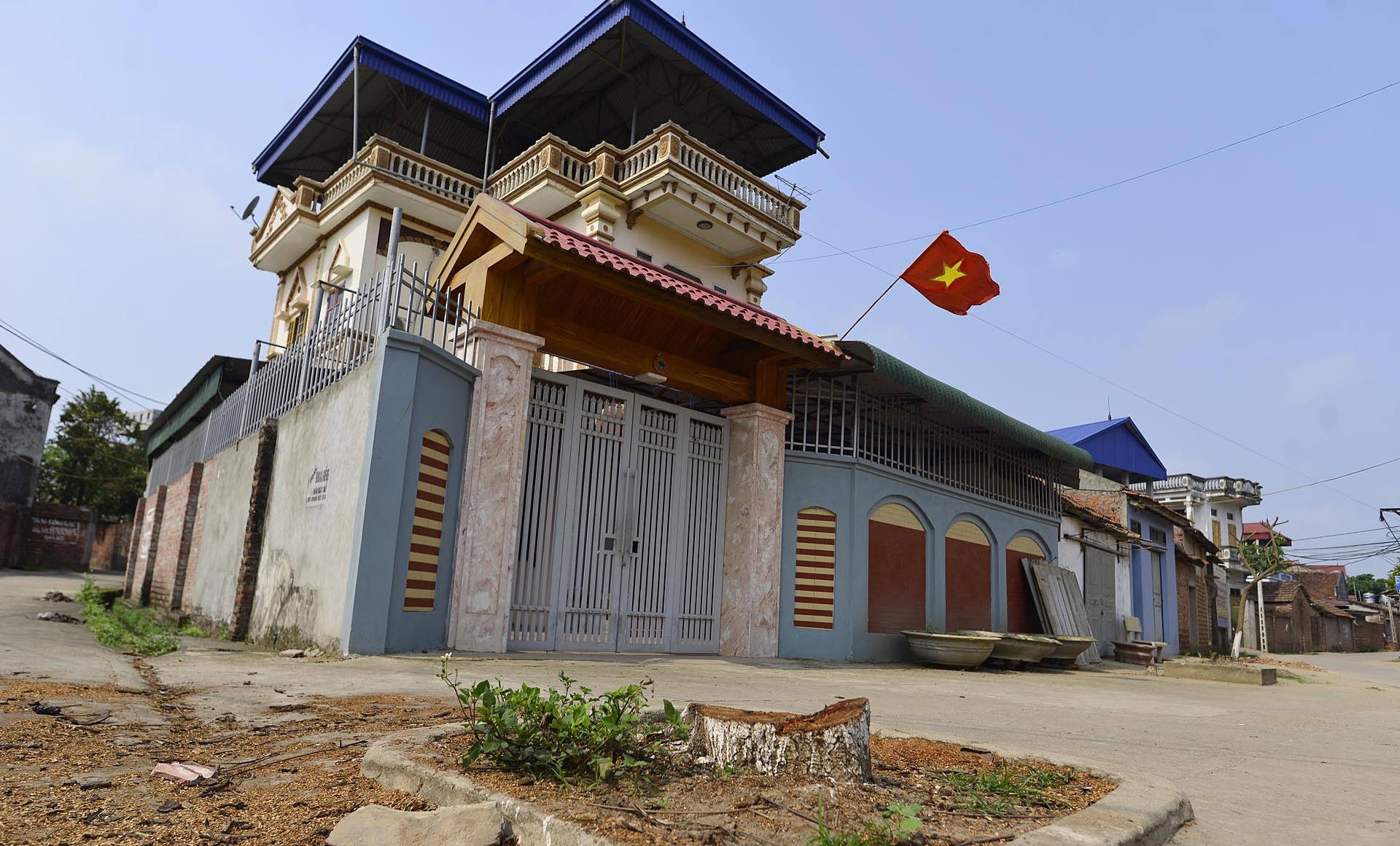 Trong lai cay xanh sau vu chat cay don via he anh 1