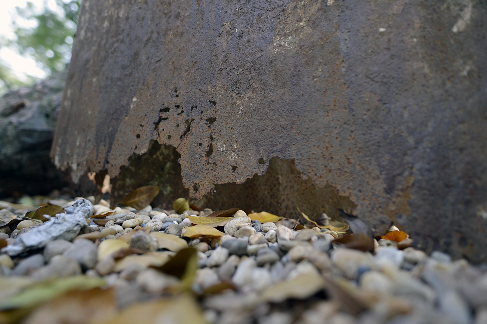 Vuon tuong dieu khac anh 14