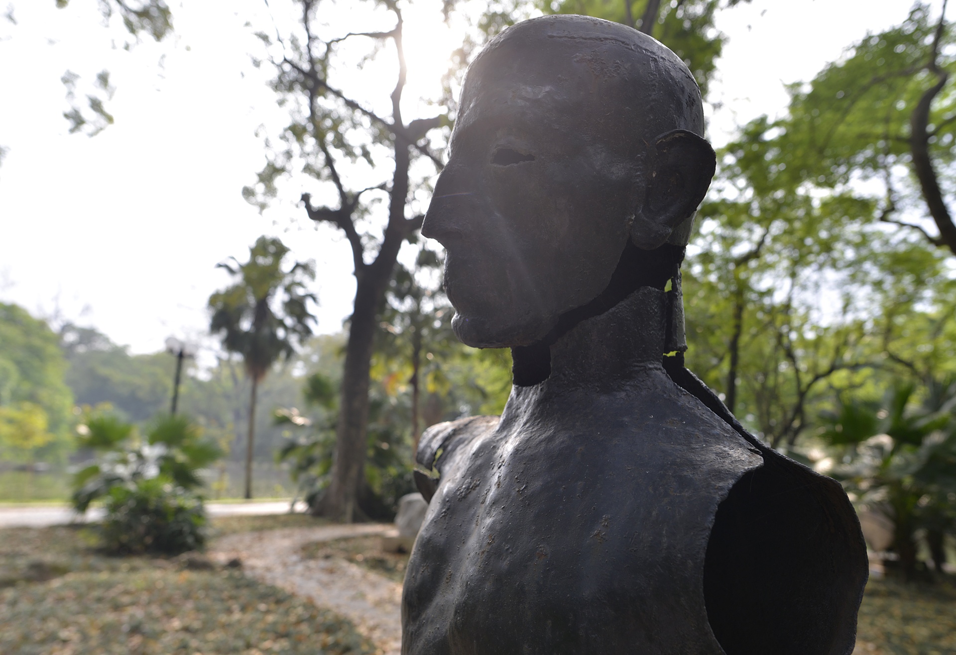 Vuon tuong dieu khac anh 15