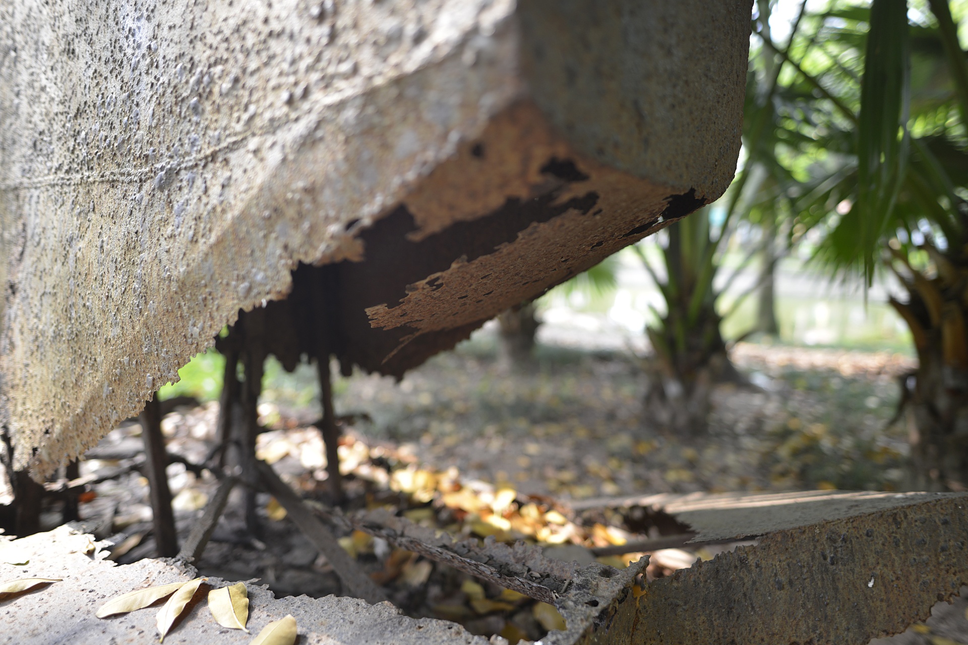 Vuon tuong dieu khac xuong cap hinh anh