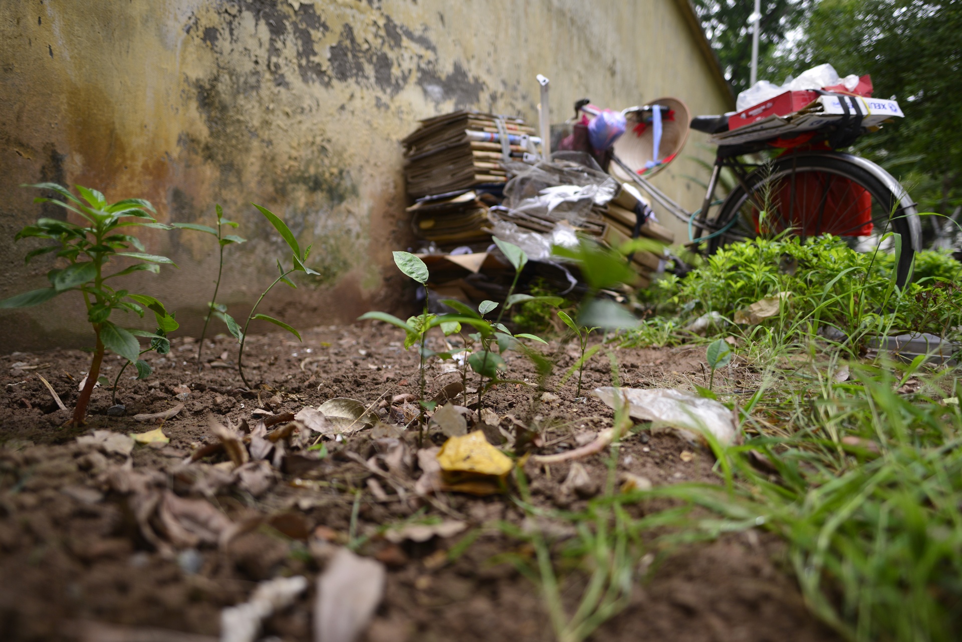 Bai do xe 'lot xac' tro thanh pho sach o Ha Noi anh 17