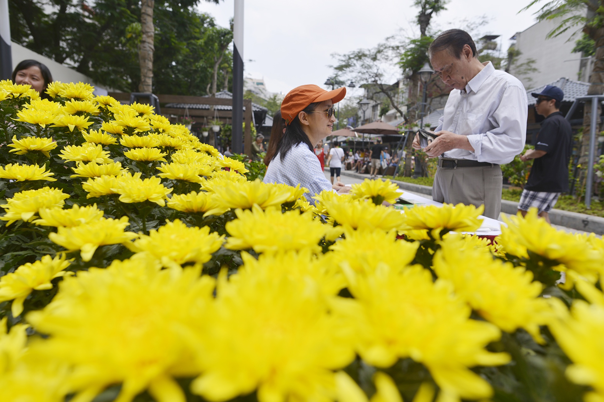 Bai do xe 'lot xac' tro thanh pho sach o Ha Noi anh 18