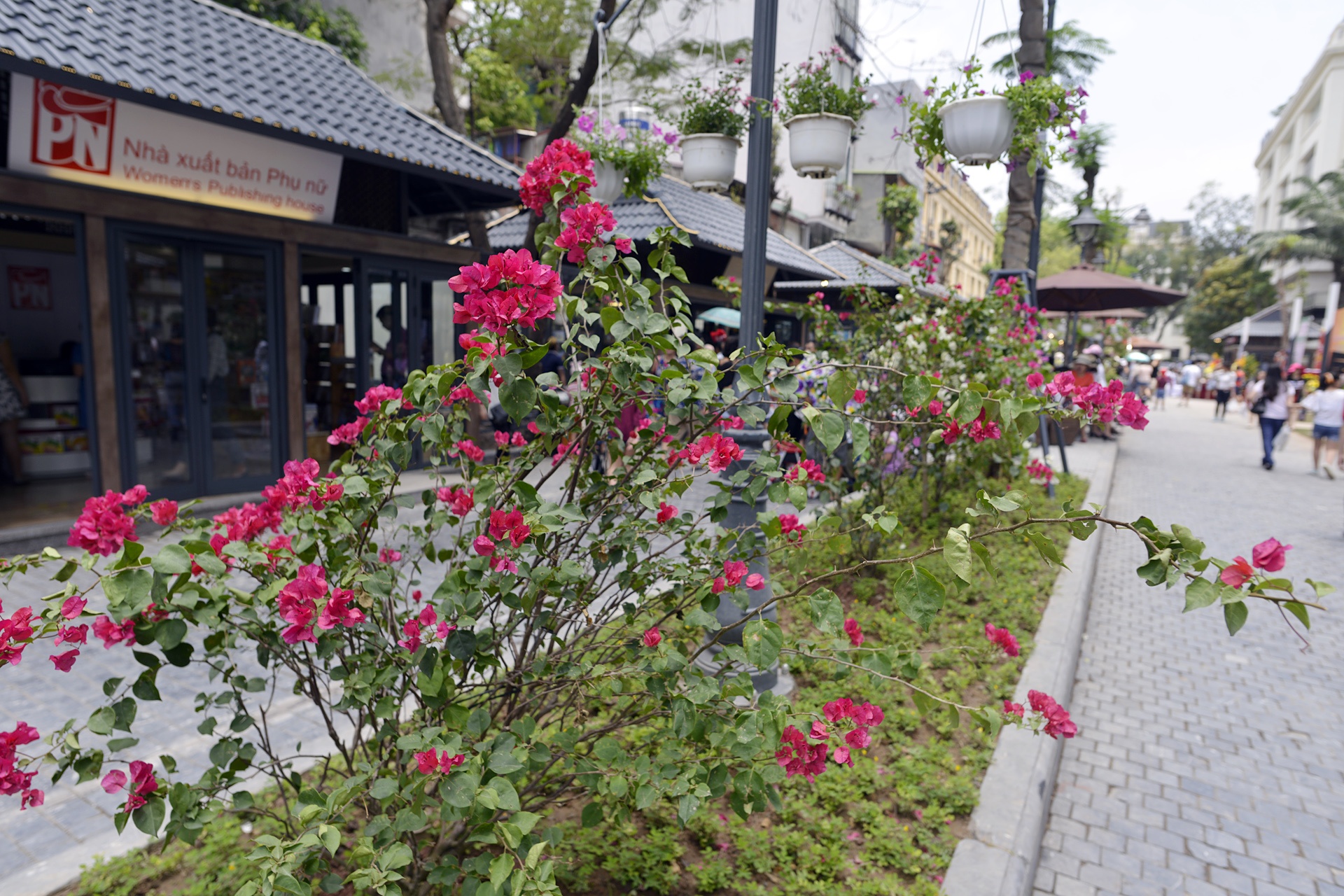 Bai do xe 'lot xac' tro thanh pho sach o Ha Noi anh 20