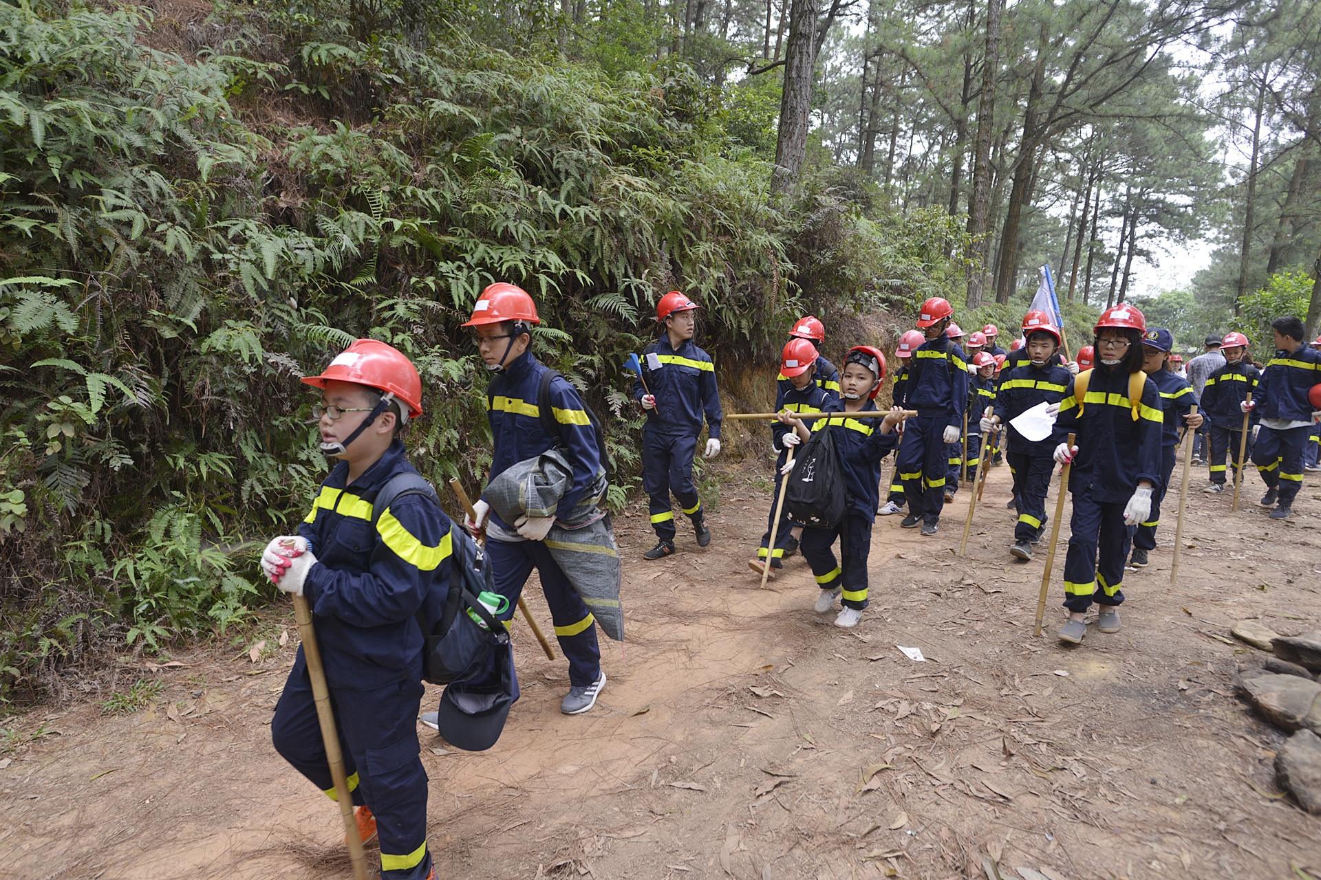 cac em nho hoc ky nang sinh ton trong rung sau anh 4