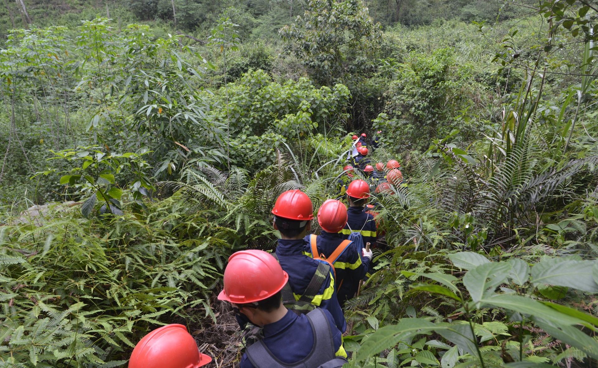 cac em nho hoc ky nang sinh ton trong rung sau anh 6
