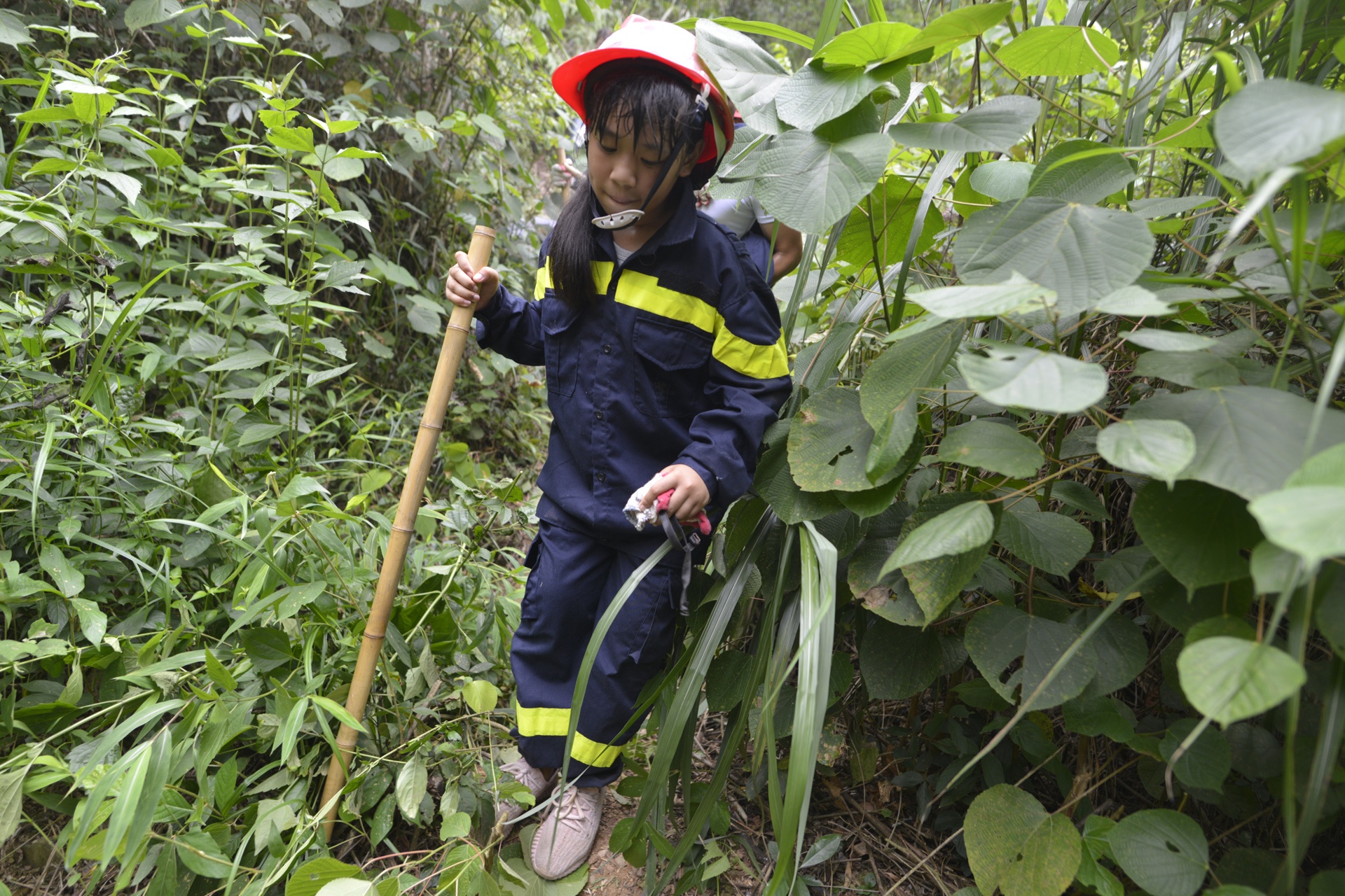 cac em nho hoc ky nang sinh ton trong rung sau anh 7