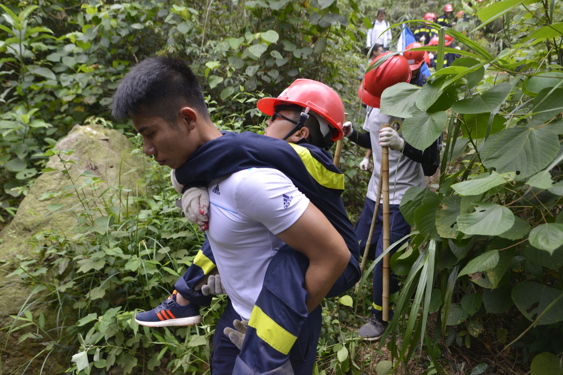 cac em nho hoc ky nang sinh ton trong rung sau anh 8