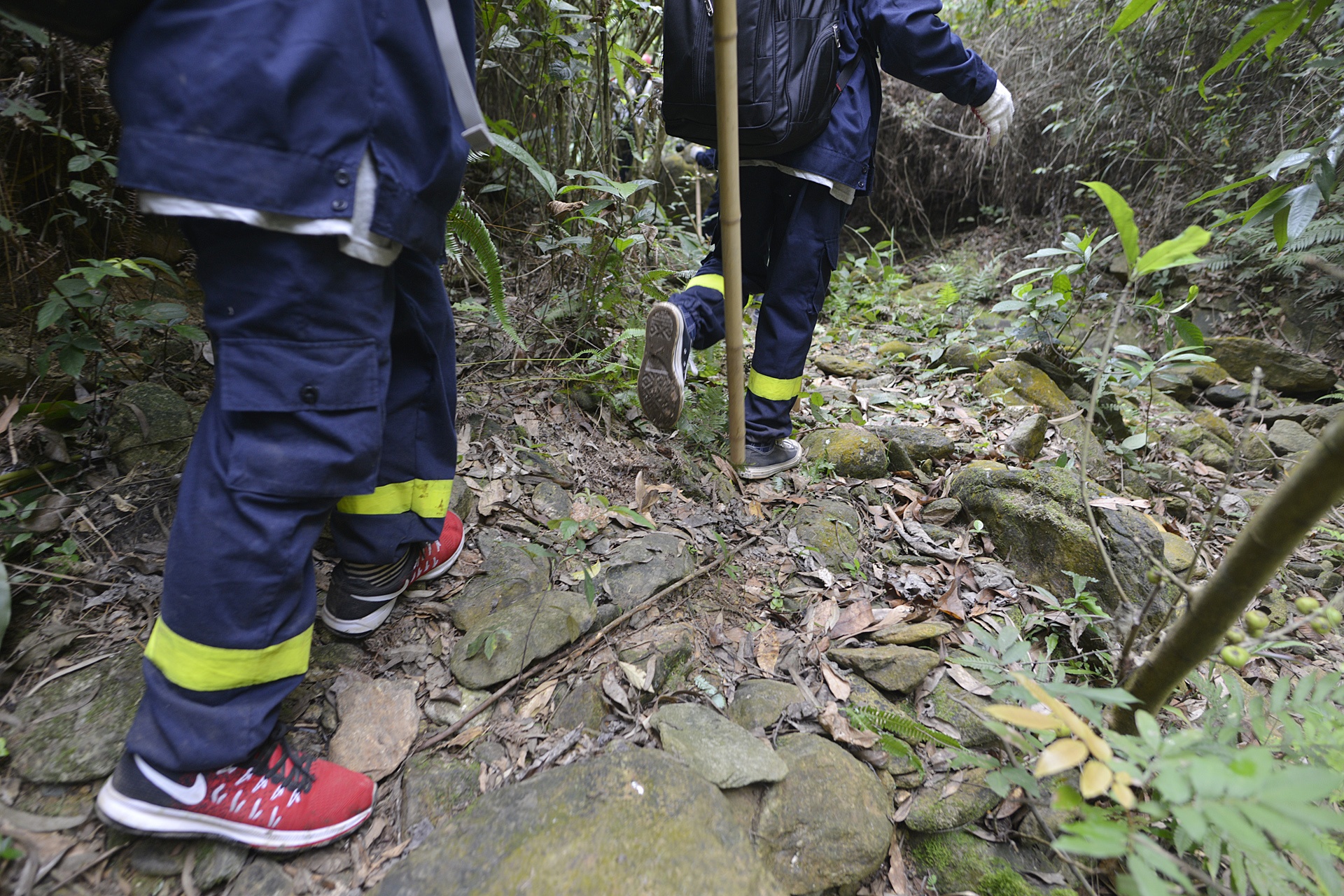 cac em nho hoc ky nang sinh ton trong rung sau anh 9