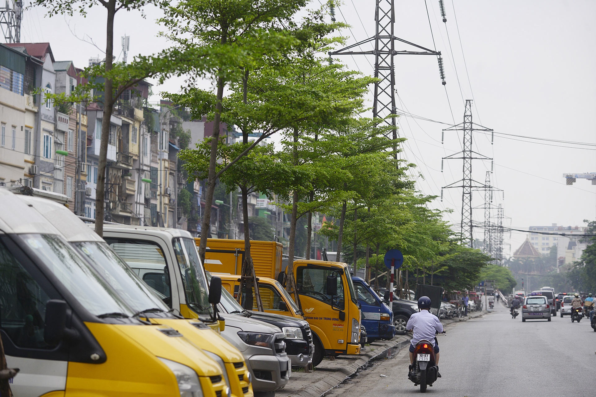 Cay xanh Ha Noi sau mot nam trong moi anh 22