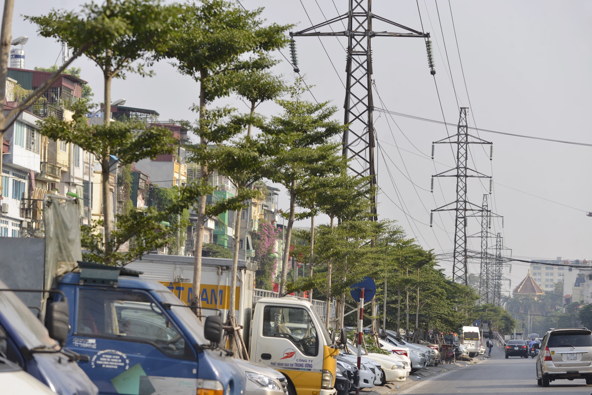 Cay xanh Ha Noi sau mot nam trong moi anh 21