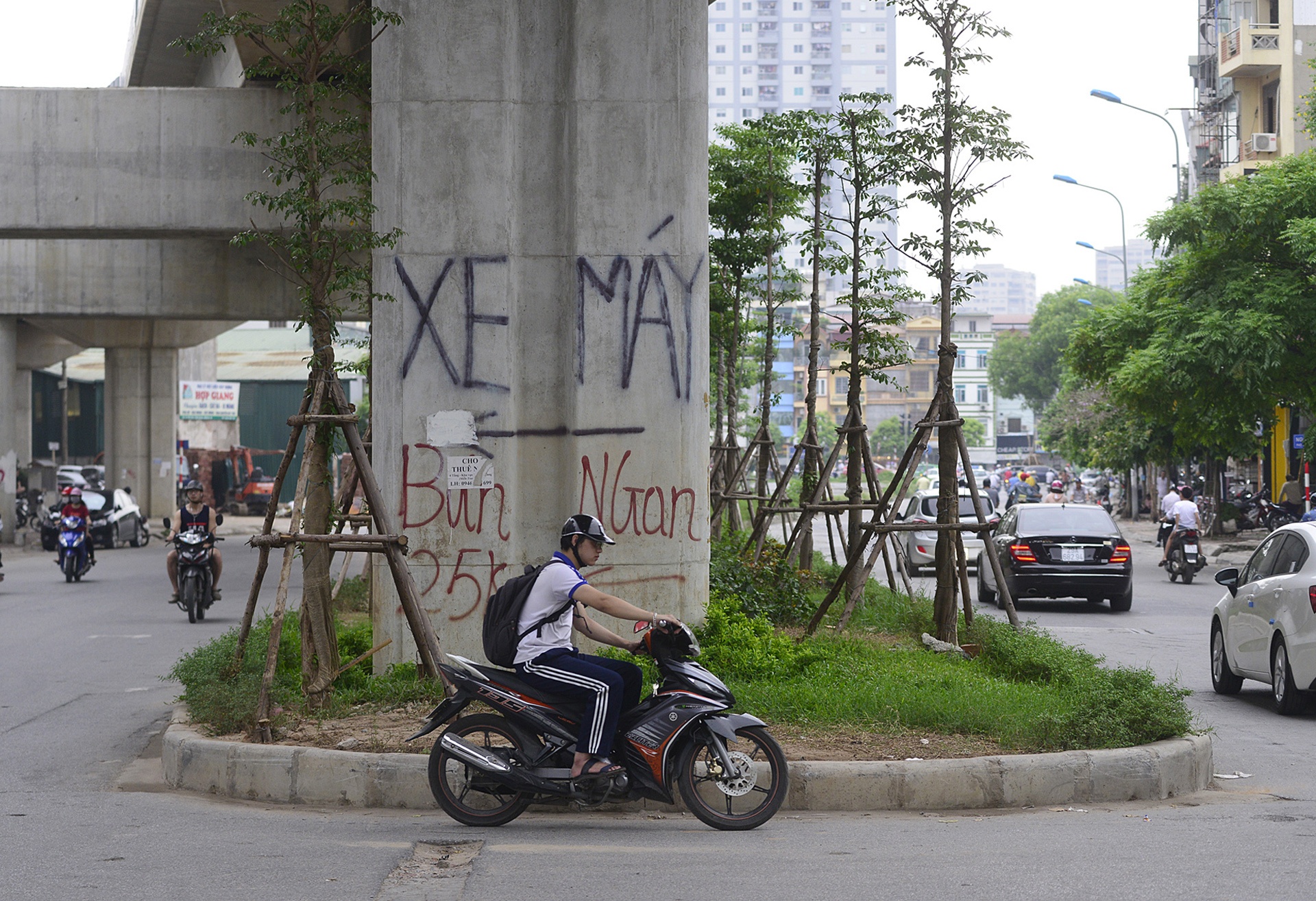 Cay xanh Ha Noi sau mot nam trong moi anh 24