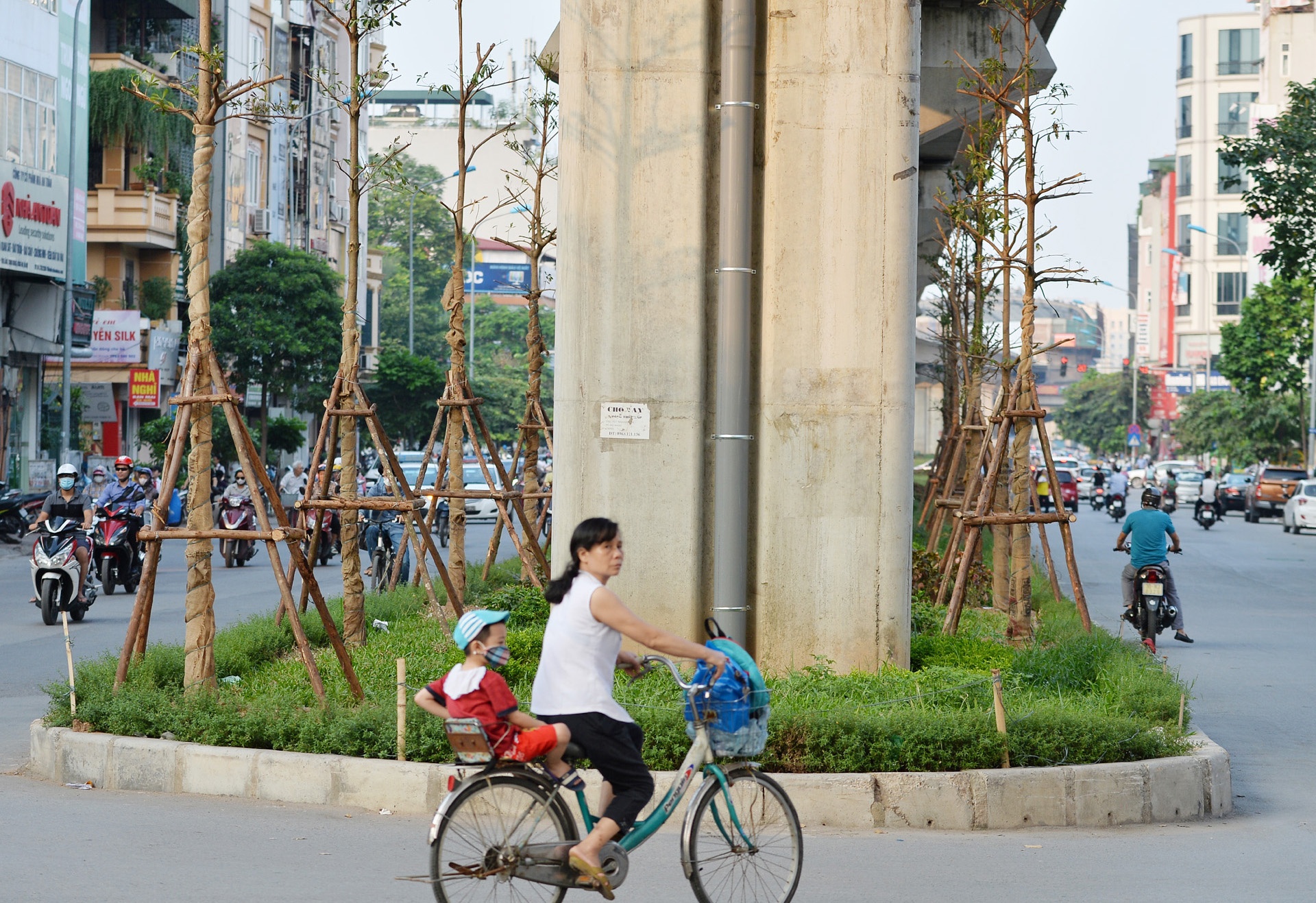 Cay xanh Ha Noi sau mot nam trong moi anh 23