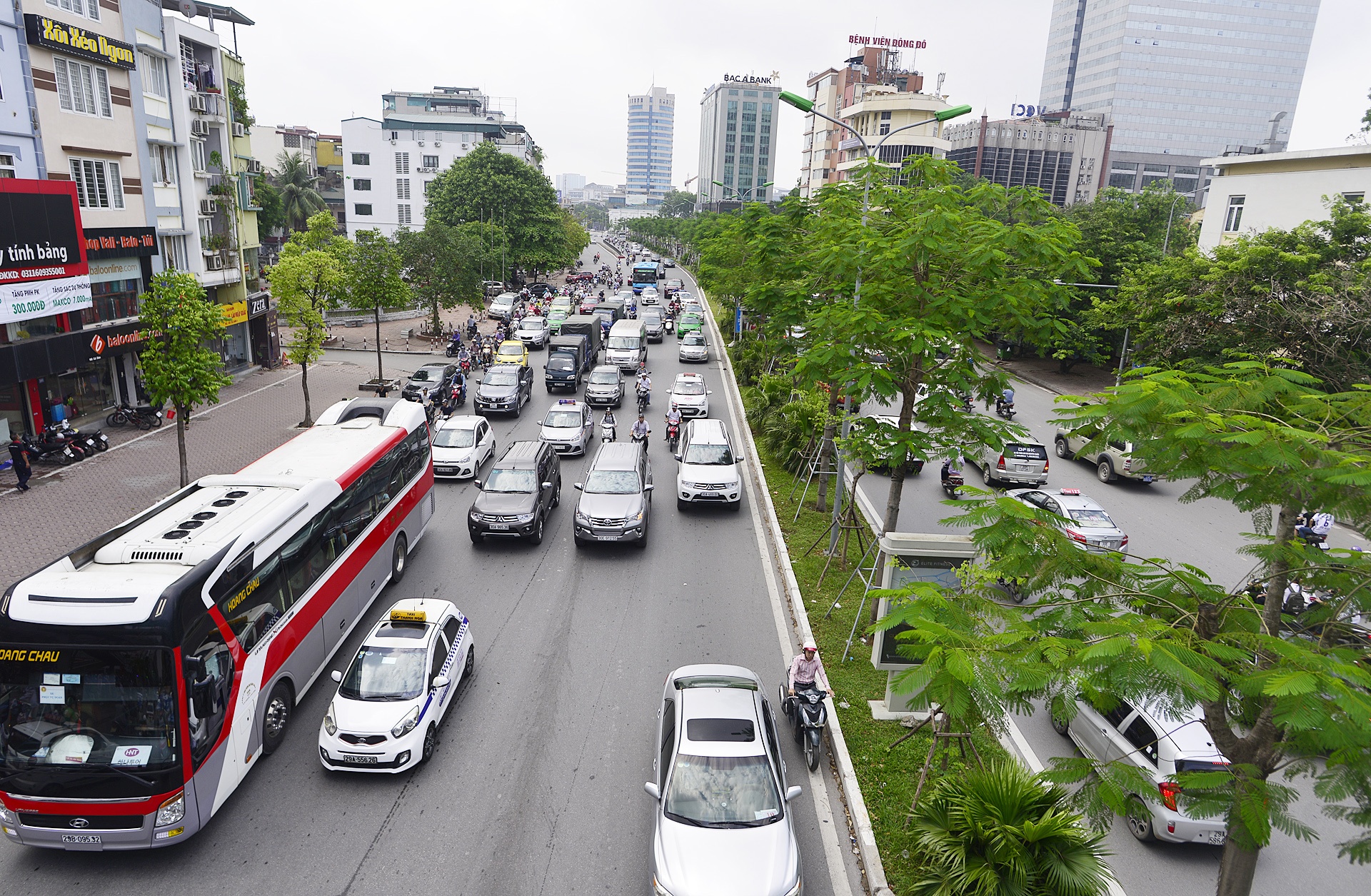 Cay xanh Ha Noi sau mot nam trong moi anh 6