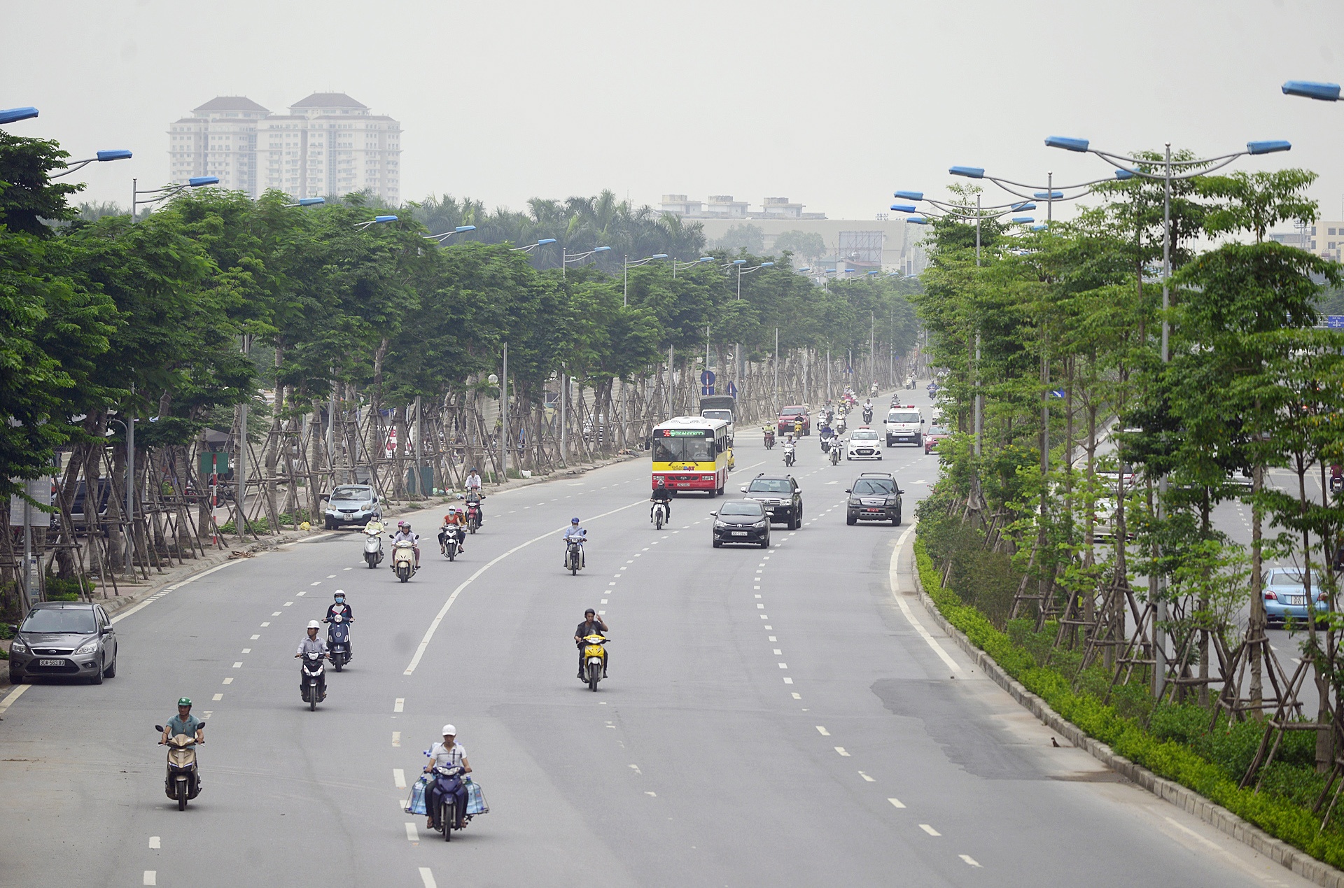 Cay xanh Ha Noi sau mot nam trong moi anh 14