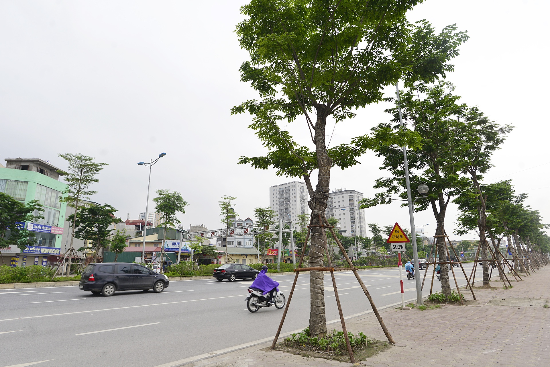 Cay xanh Ha Noi sau mot nam trong moi anh 16