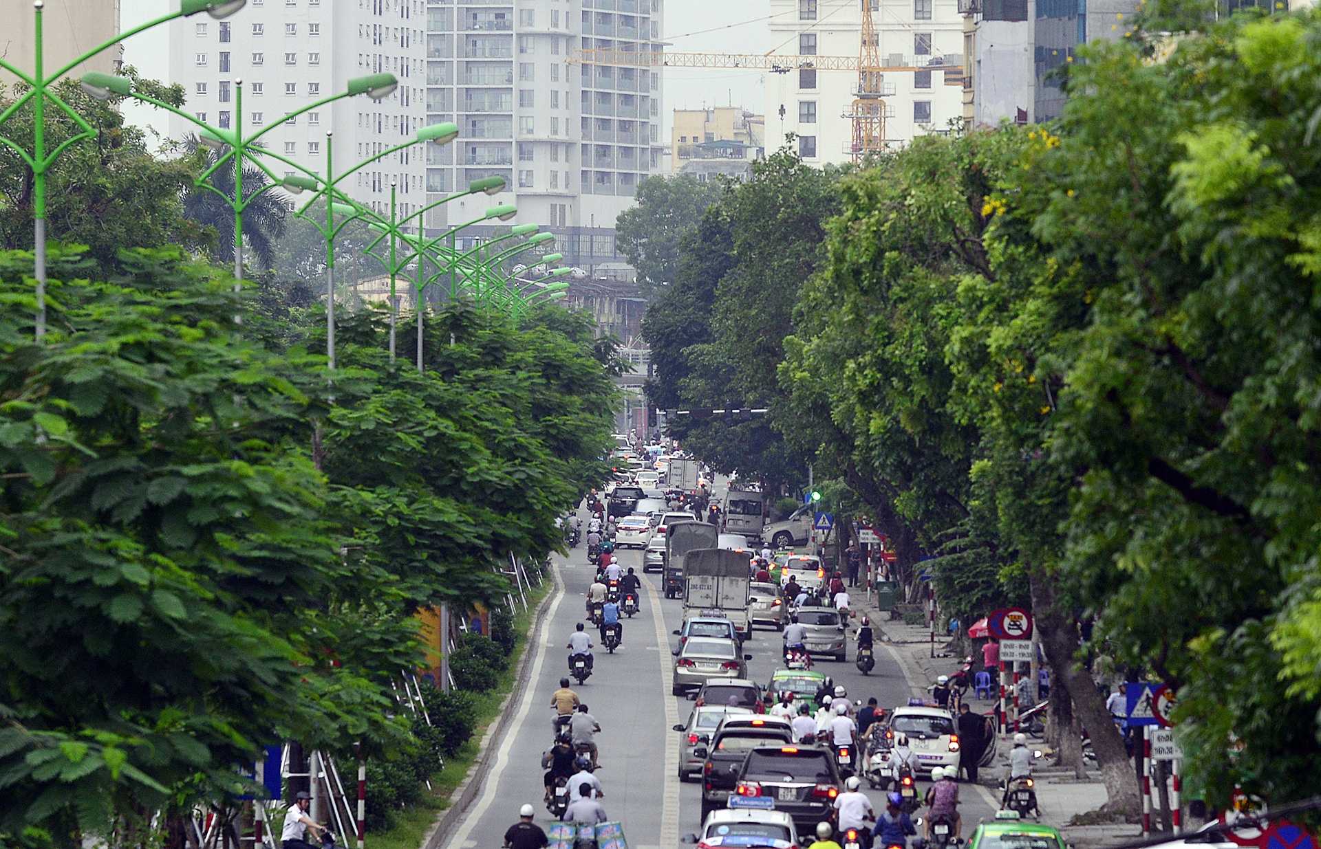 Hang nghin cay xanh Ha Noi sau gan mot nam trong moi hinh anh