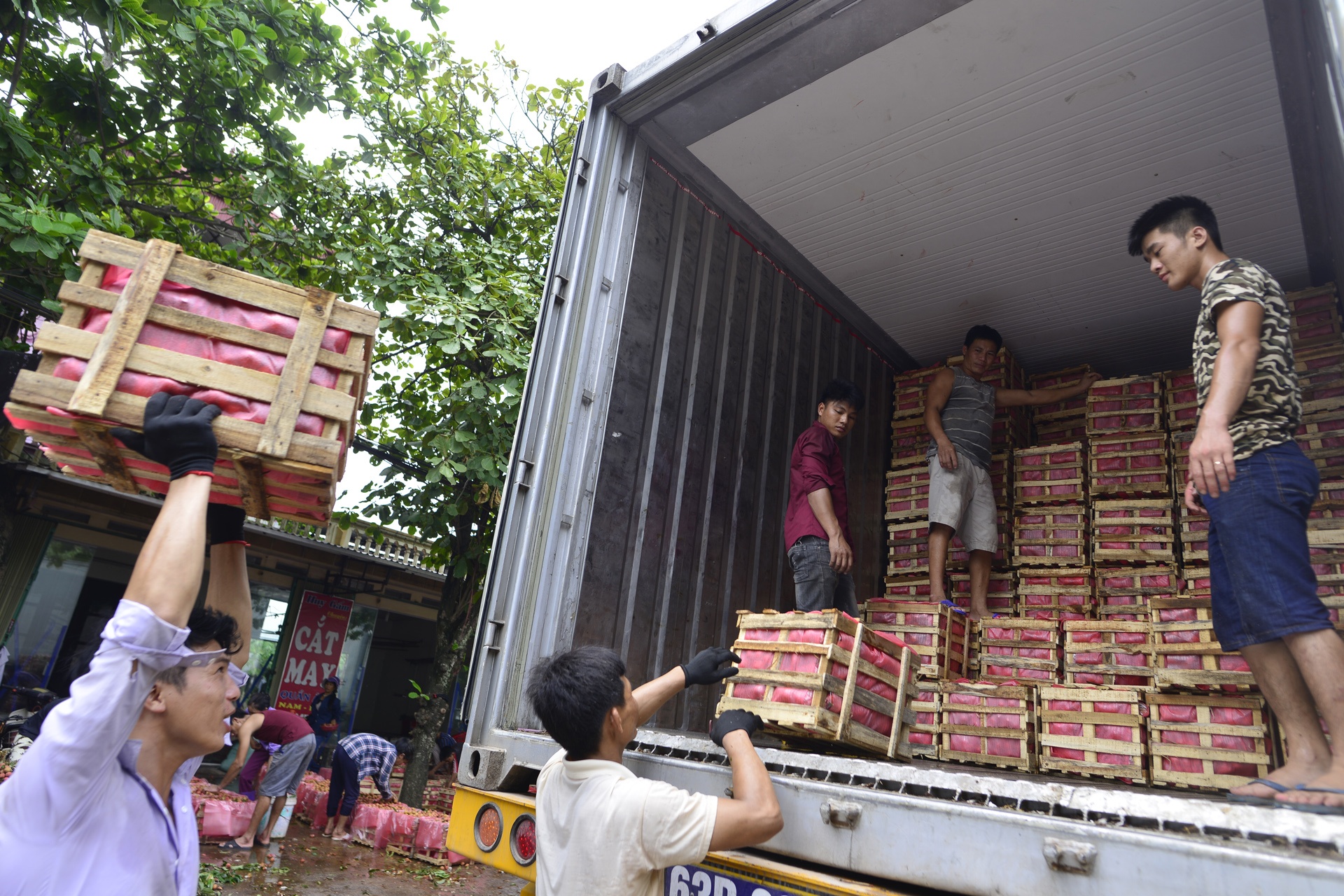 vai thieu Luc Ngan mat mua anh 11