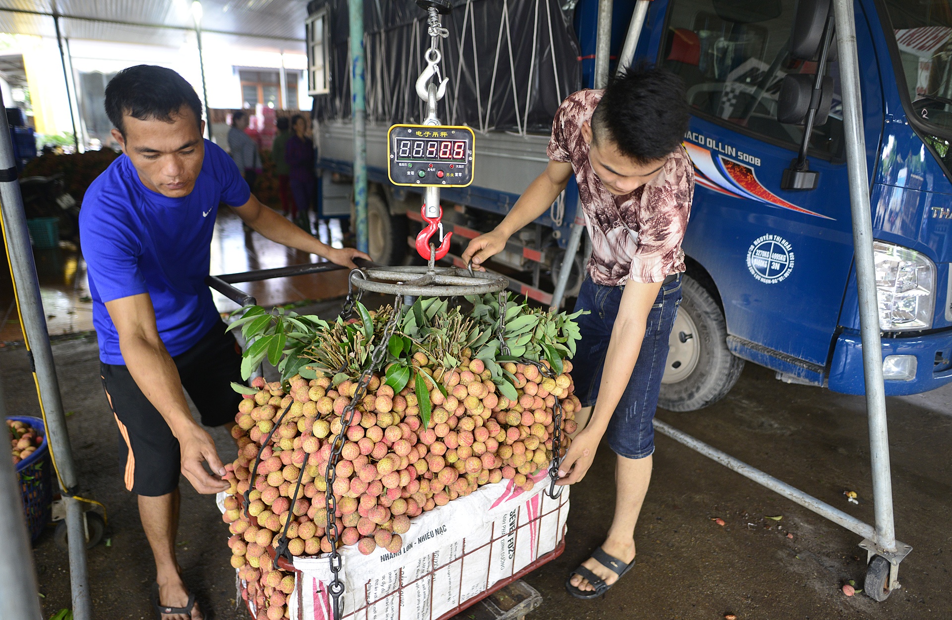 vai thieu Luc Ngan mat mua anh 12